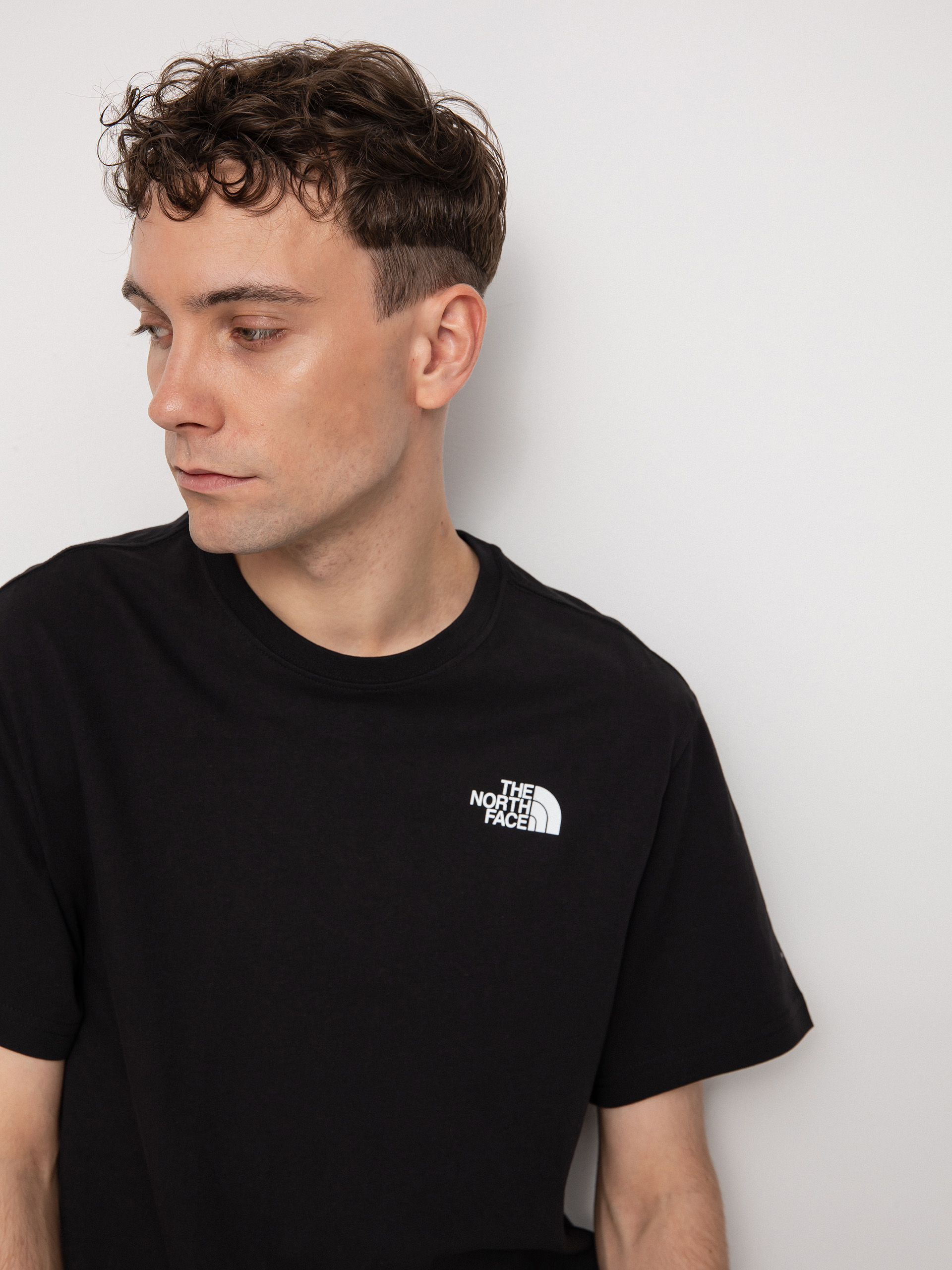 The North Face Redbox Celebration T-Shirt (tnf black)
