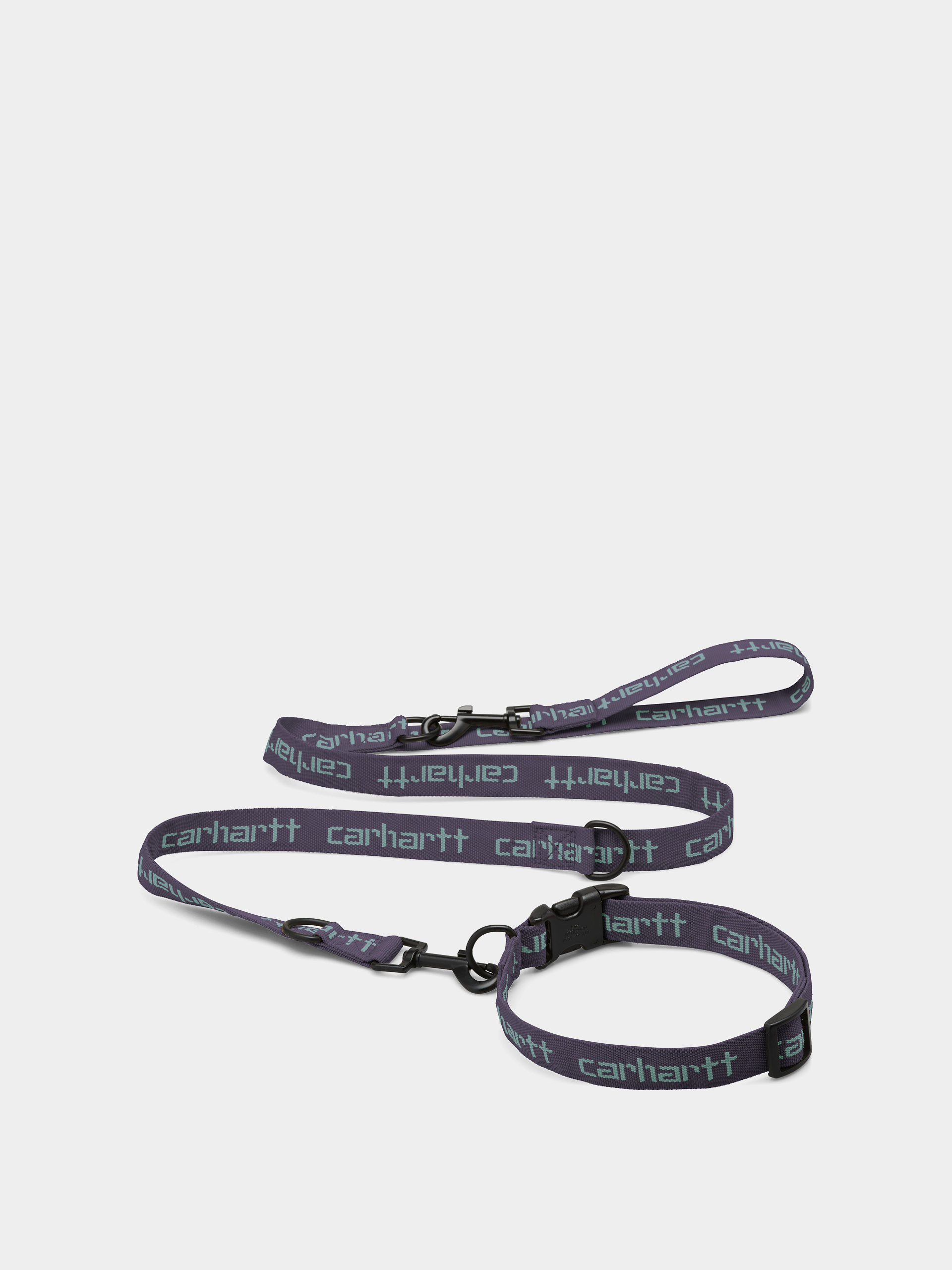 Carhartt WIP Script Dog Leash & Collar (artichoke/misty sage)