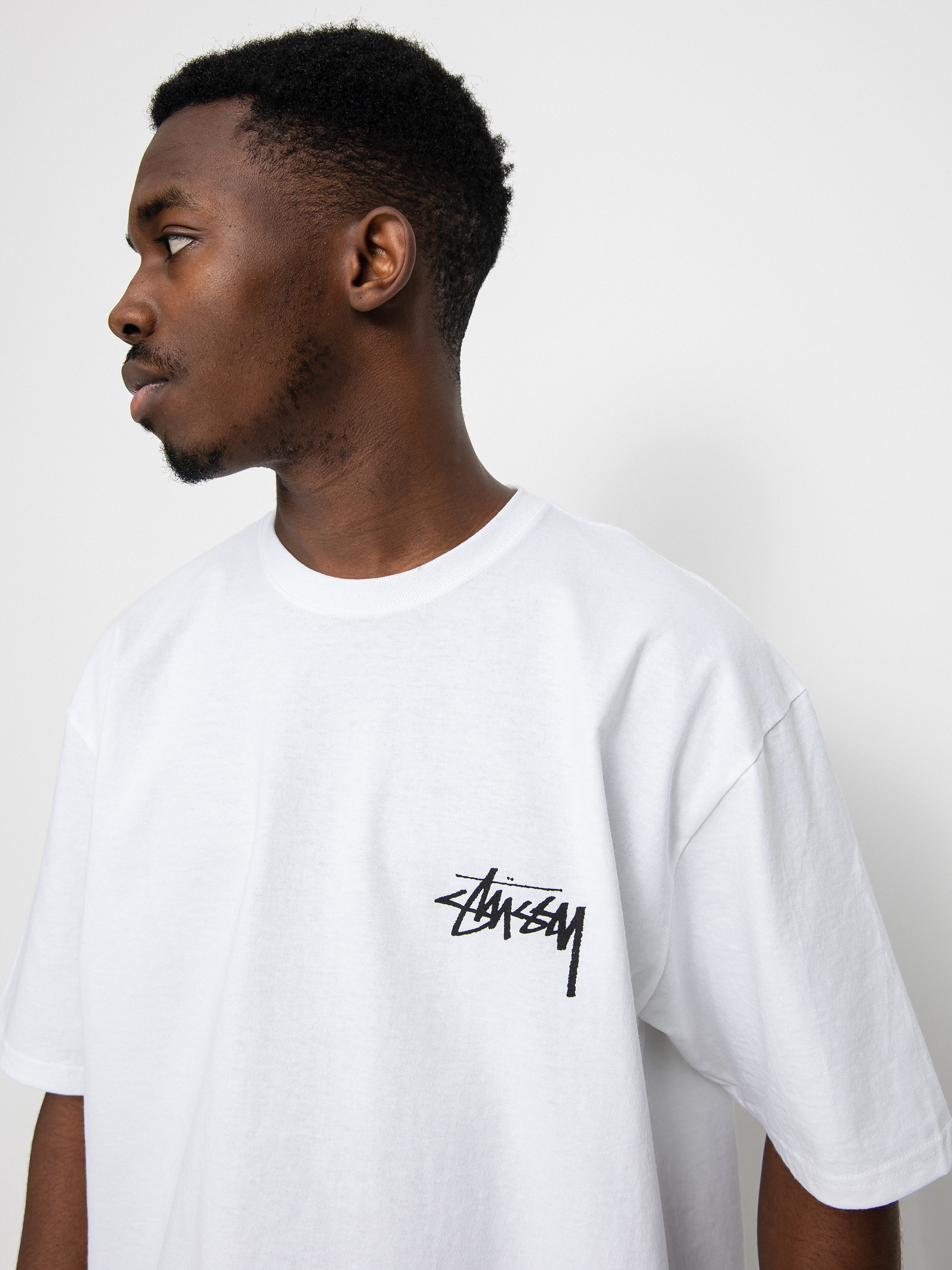 Stussy Low Tide T-shirt (white)