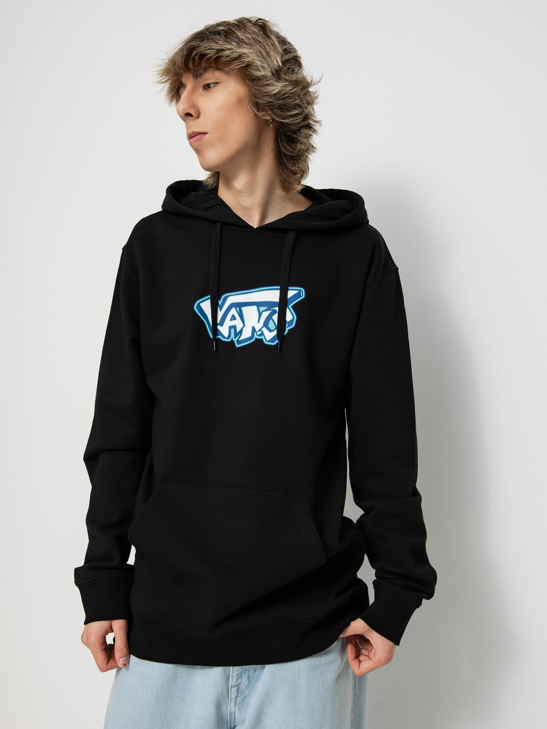 Vans Retro Drop V HD Hoodie black (black)
