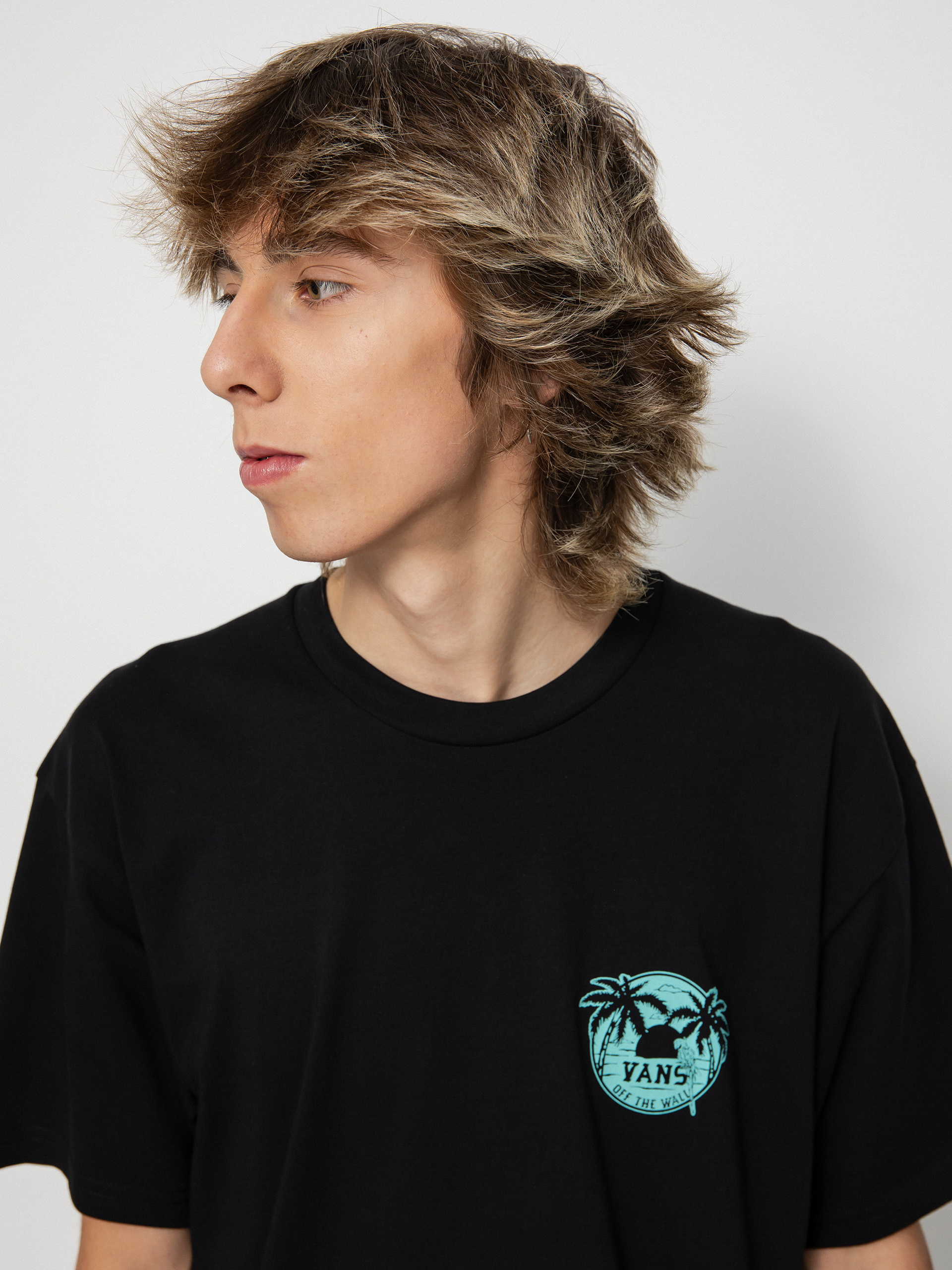 Vans Paradise Island Bird T-shirt (black)