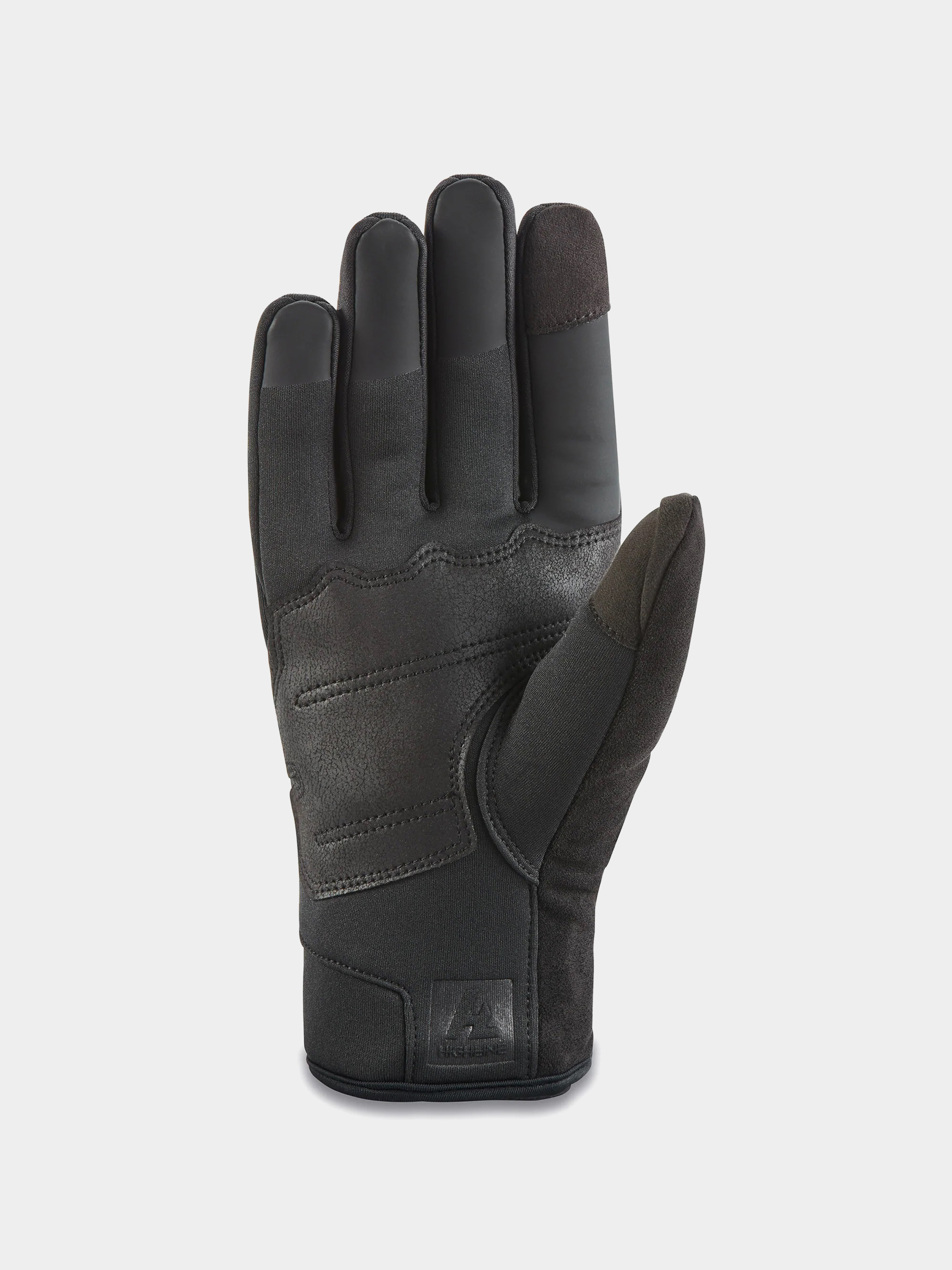Dakine Factor Infinium Gloves (black)