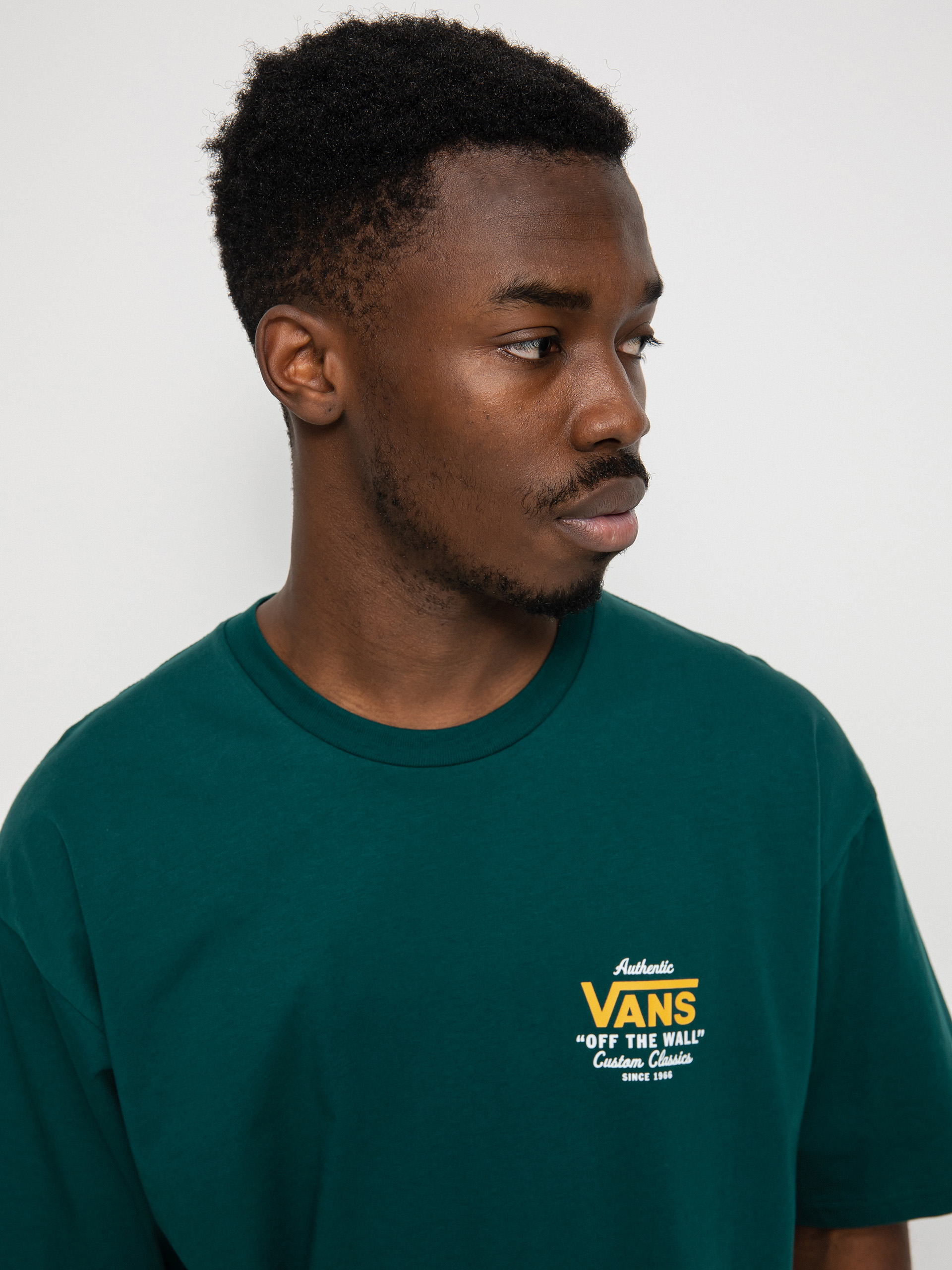 Vans Holder St Classic T-Shirt (botanical garden/wh/ylkyw)