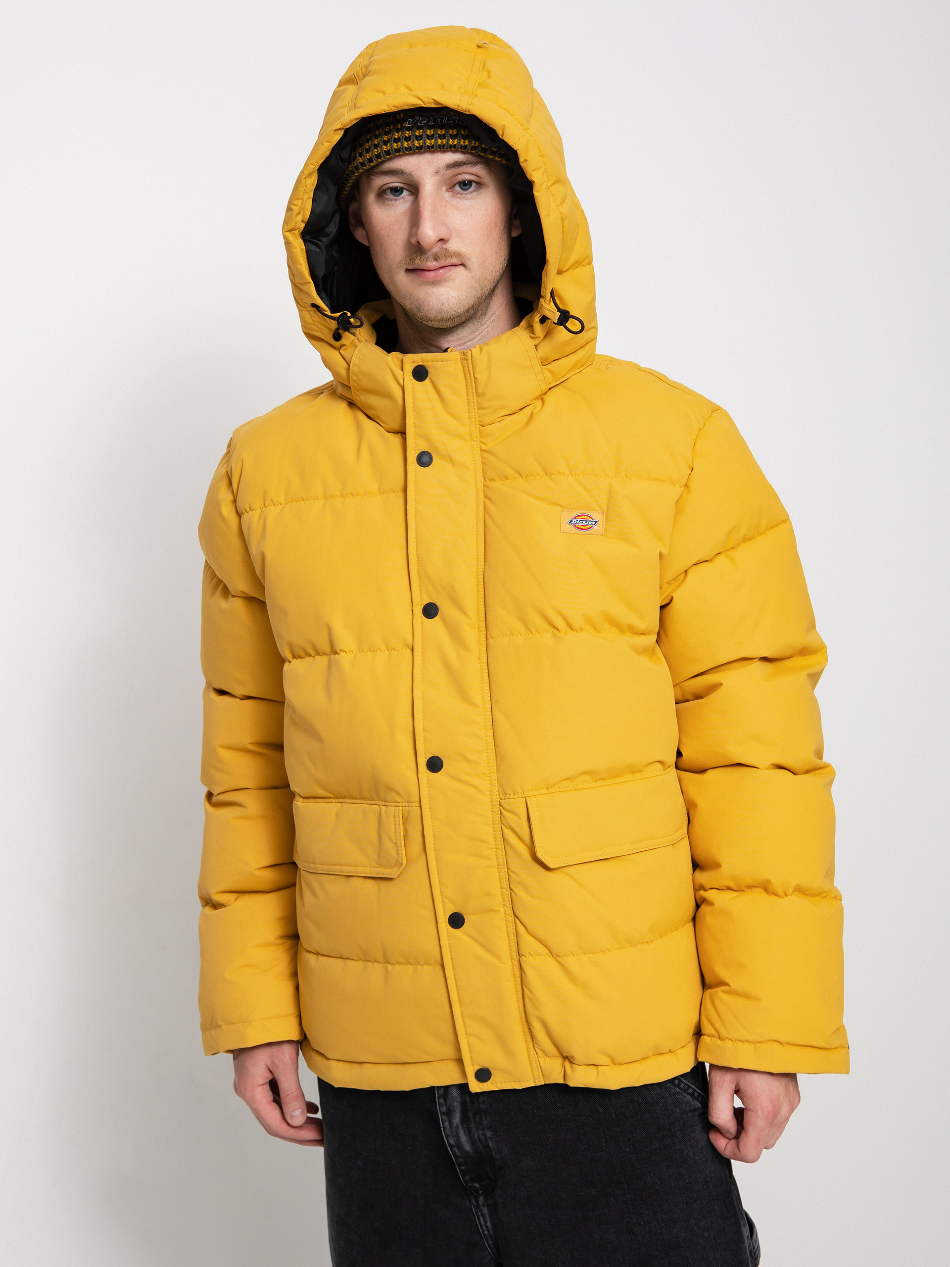 Dickies Glacier View Puffer Jacke (honey gold)