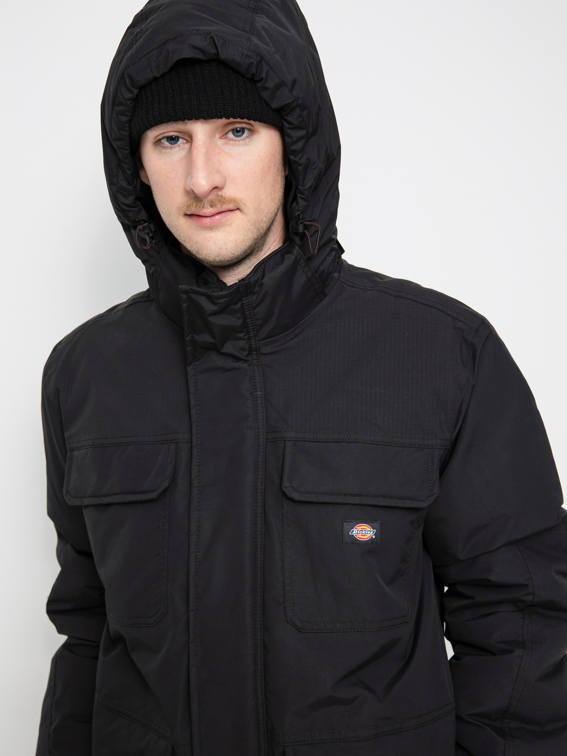 Dickies Glacier View Expedition Jacket (black)