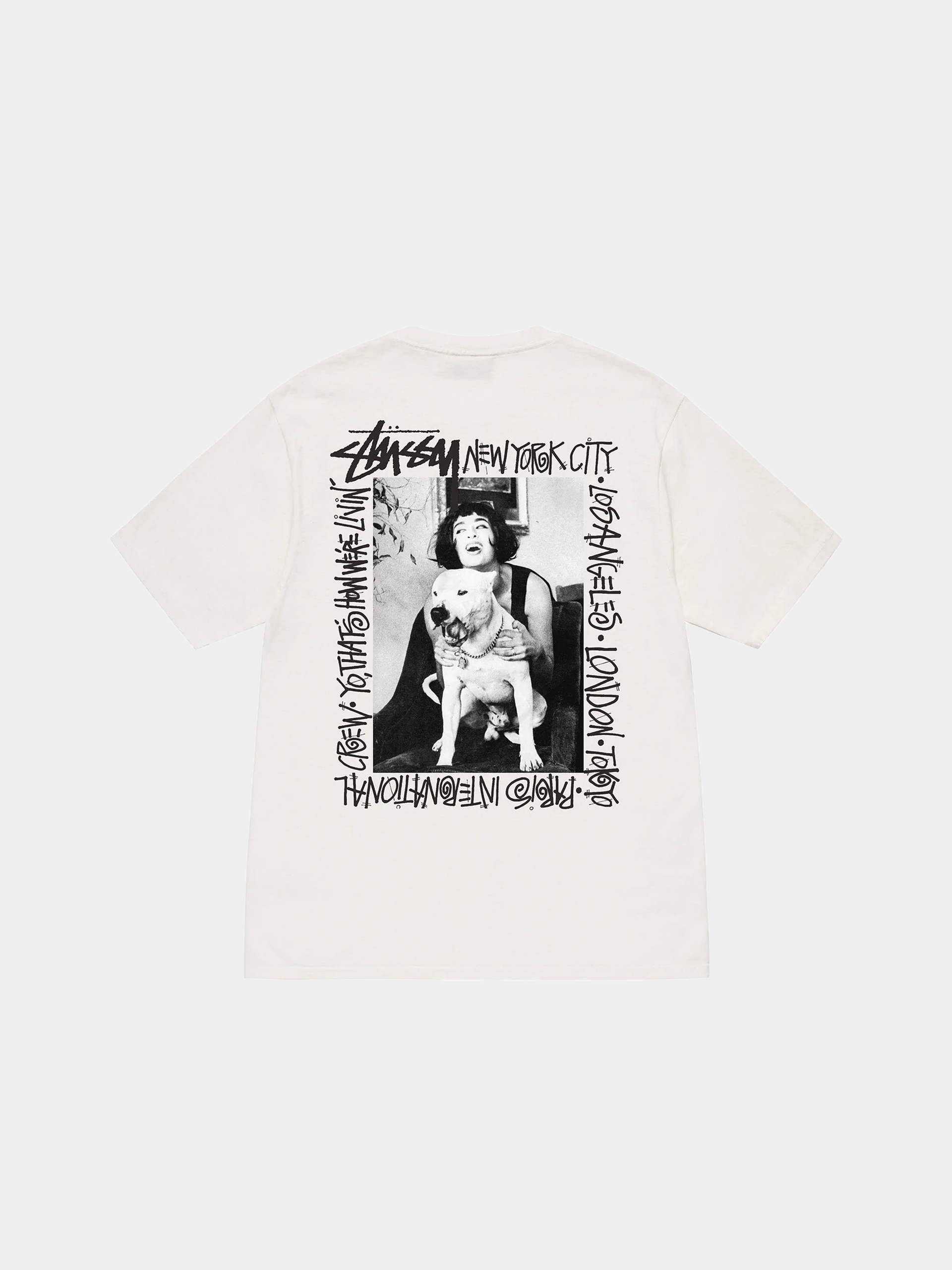 Stussy How We Re Livin Pig. Dyed T-shirt (natural)