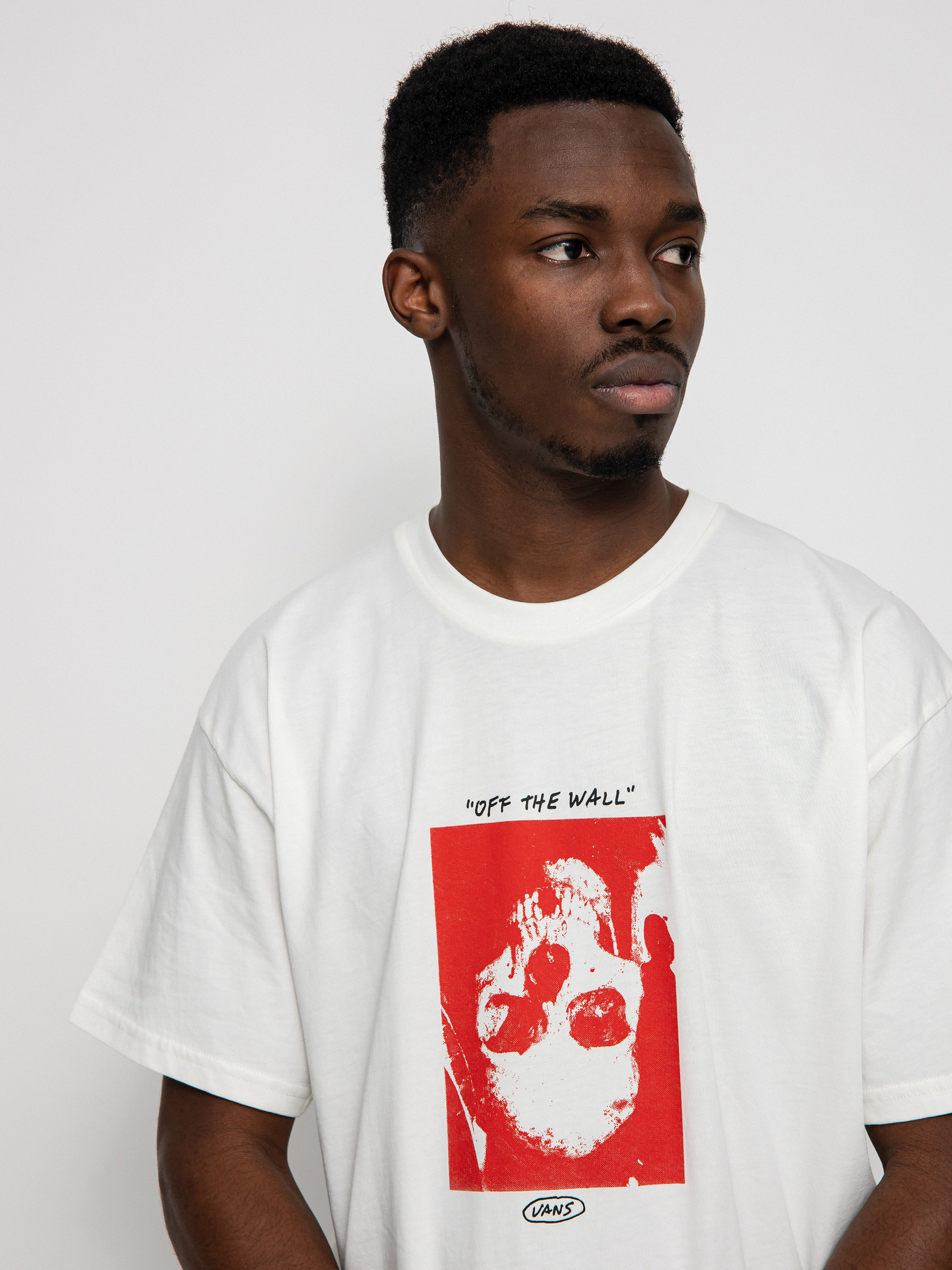 Vans Boxed Skull T-shirt (antique white)