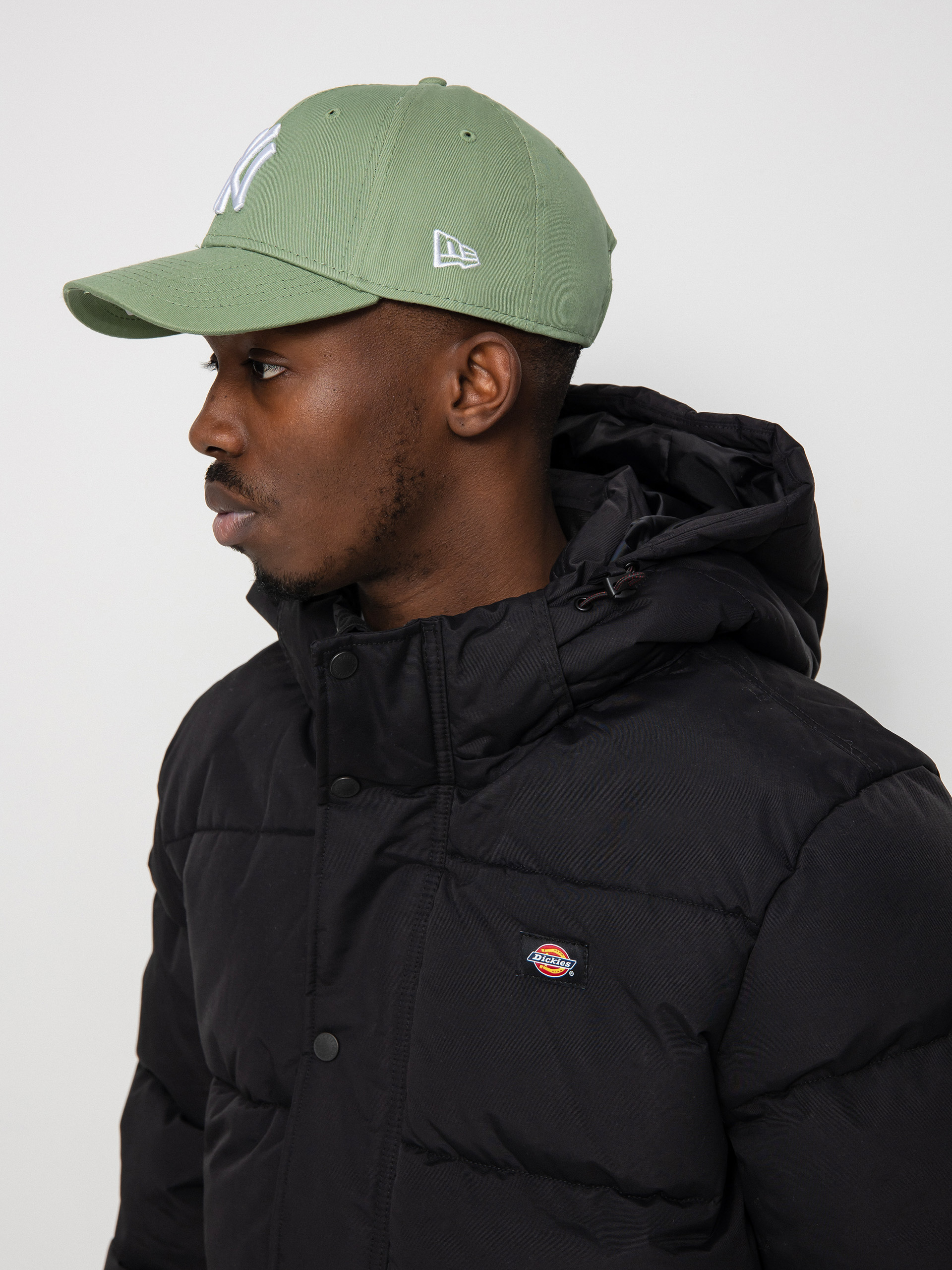 Dickies Glacier View Puffer Jacket (black)