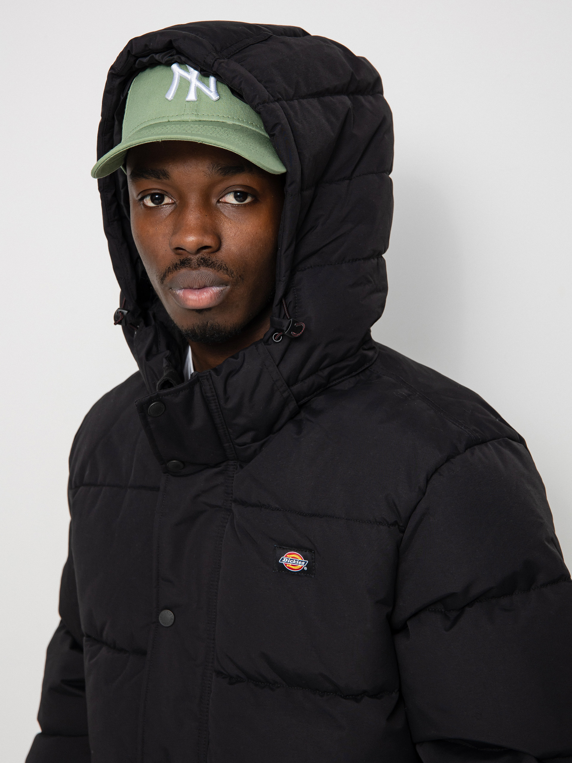Dickies Glacier View Puffer Jacket (black)