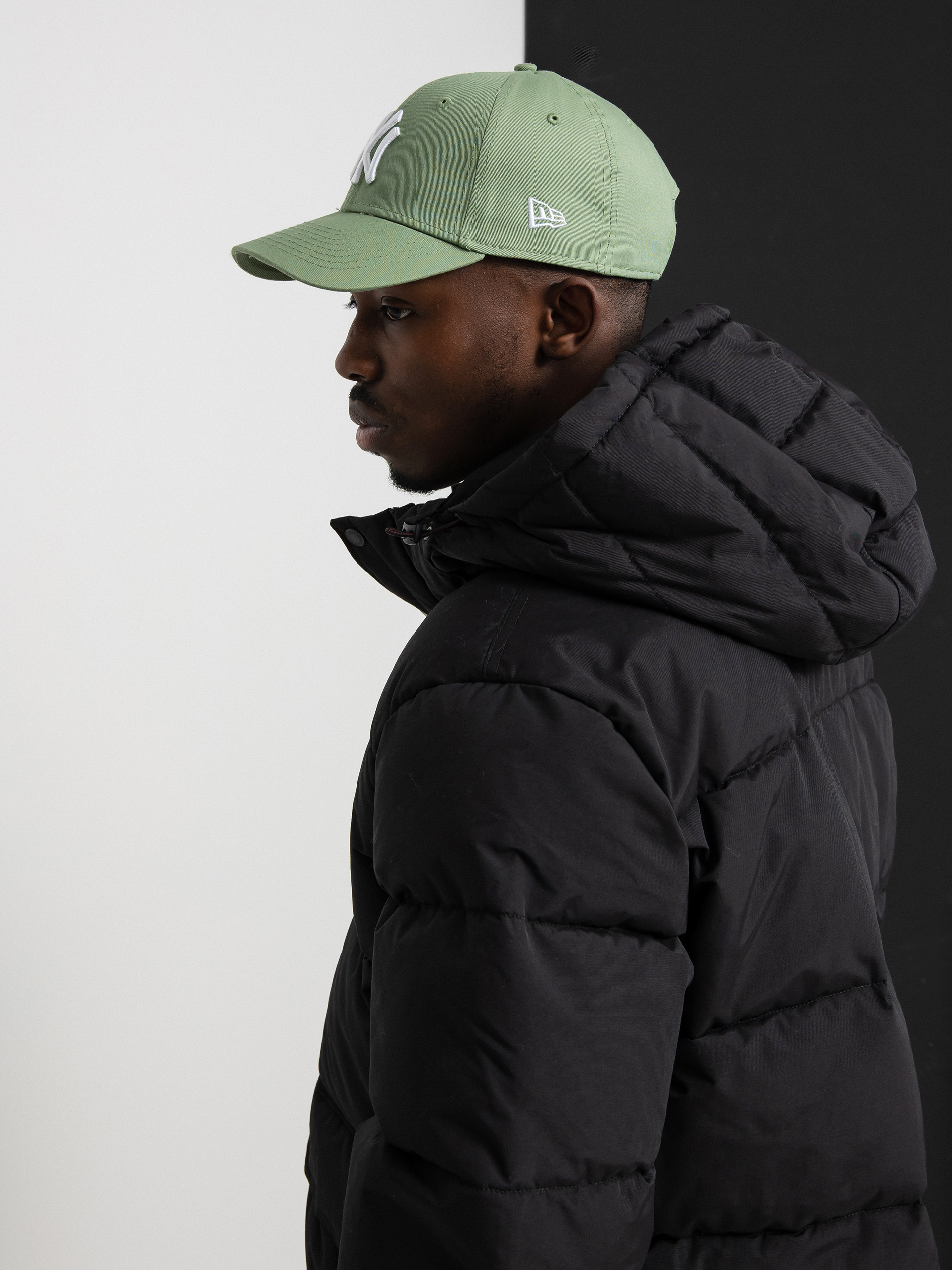 Dickies Glacier View Puffer Jacket (black)