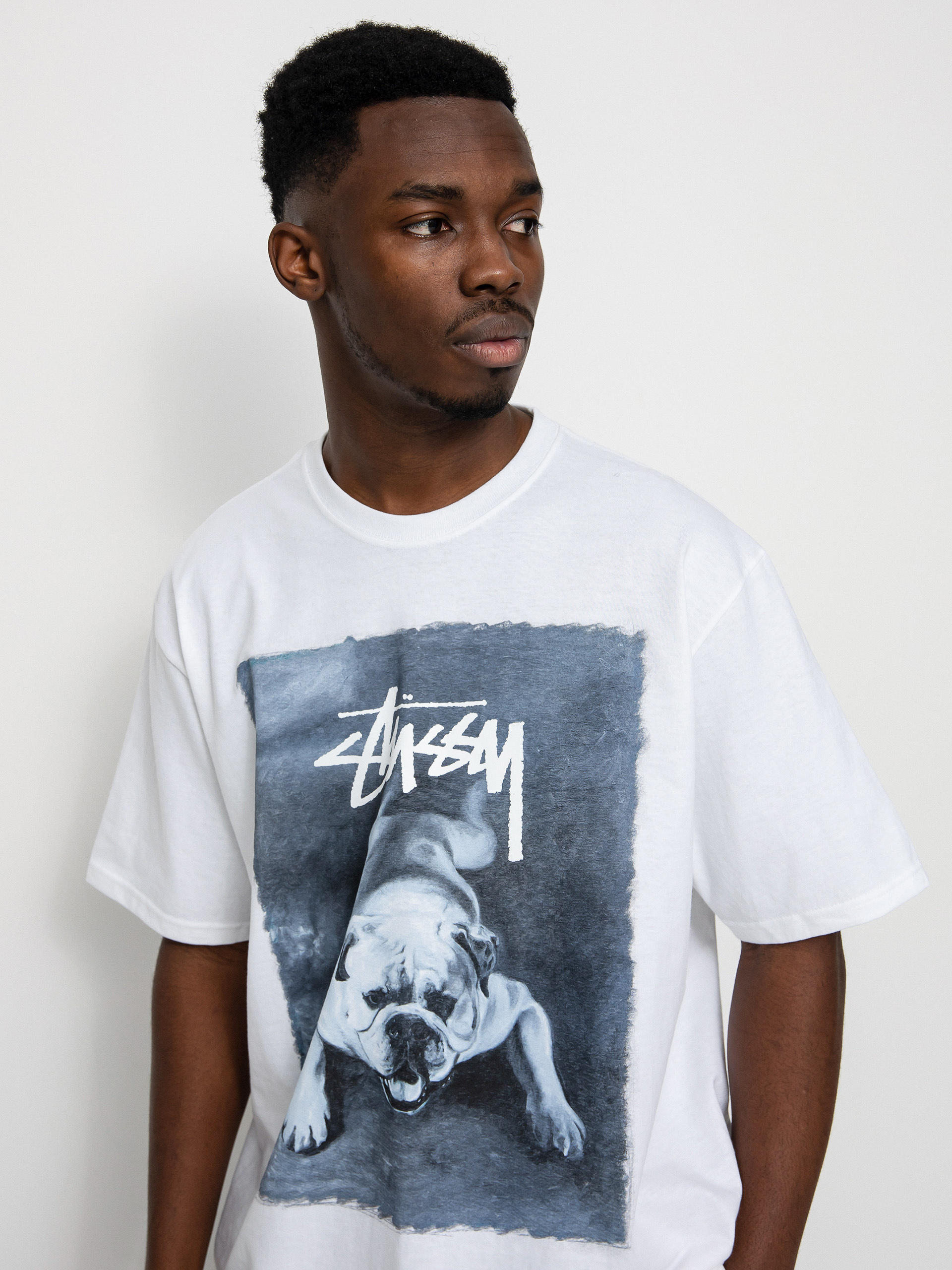 Stussy Bulldog T-shirt (white)