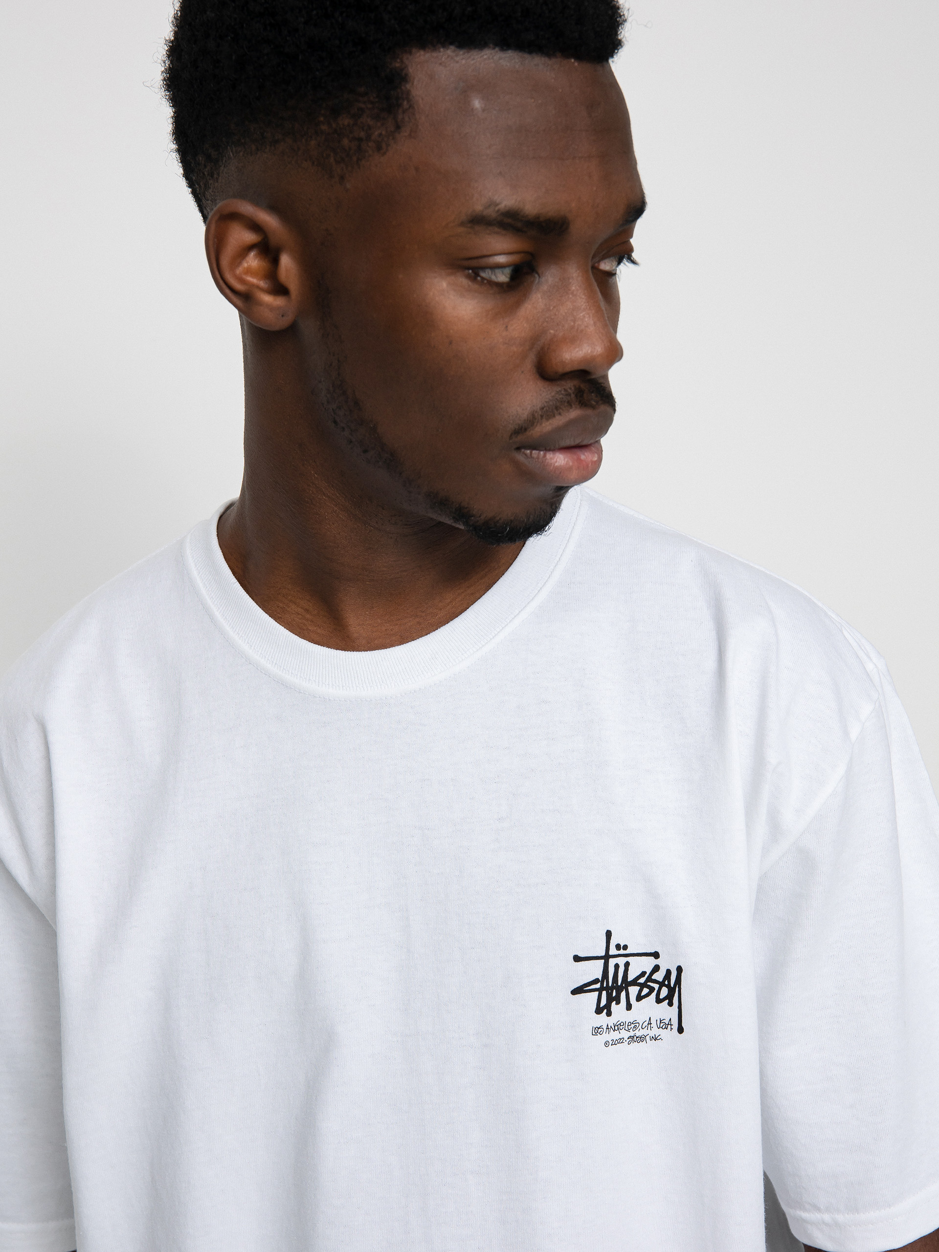 Stussy Dragon T-shirt (white)