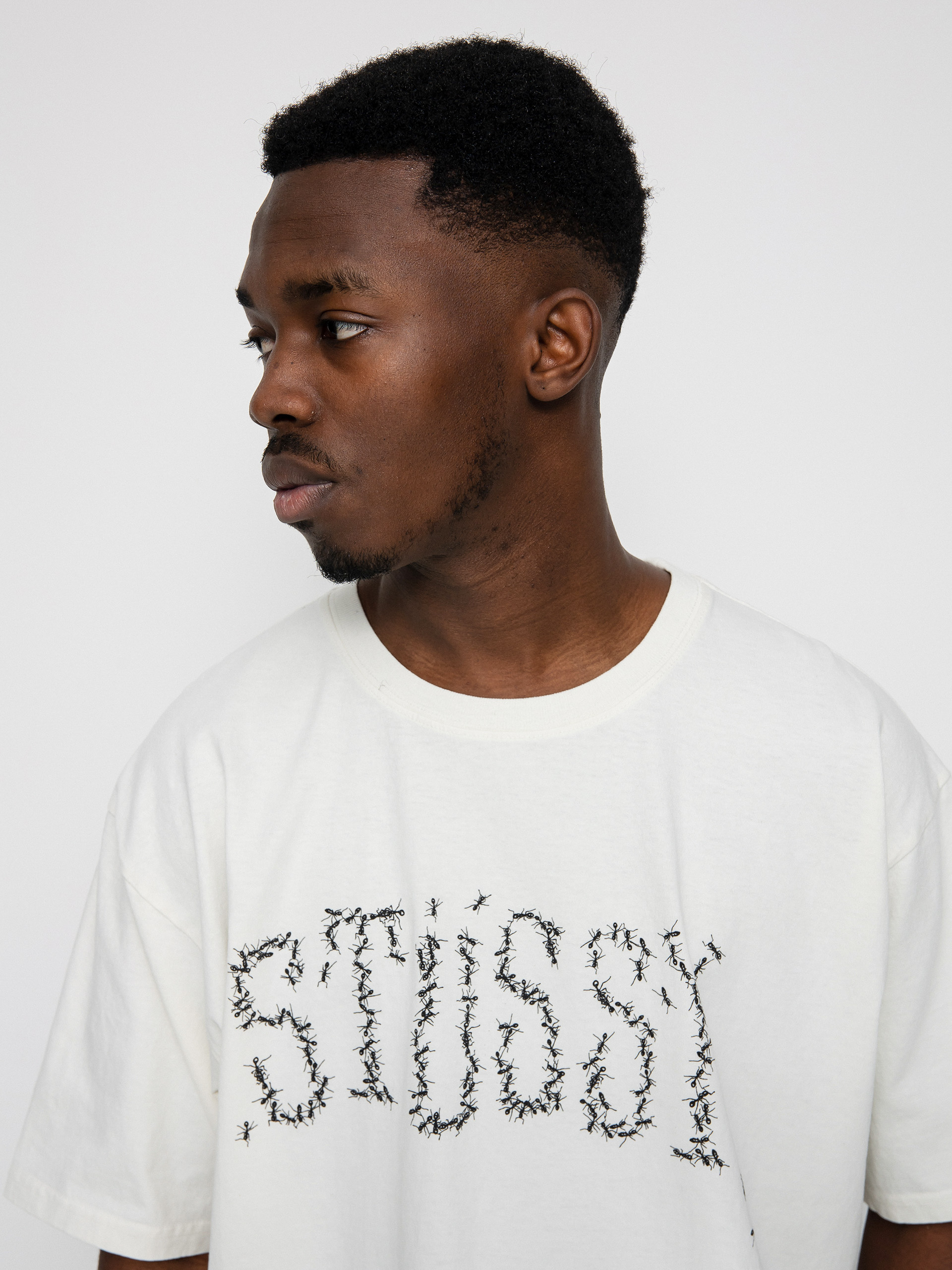 Stussy Ants Pig. Dyed T-shirt - beige (natural)