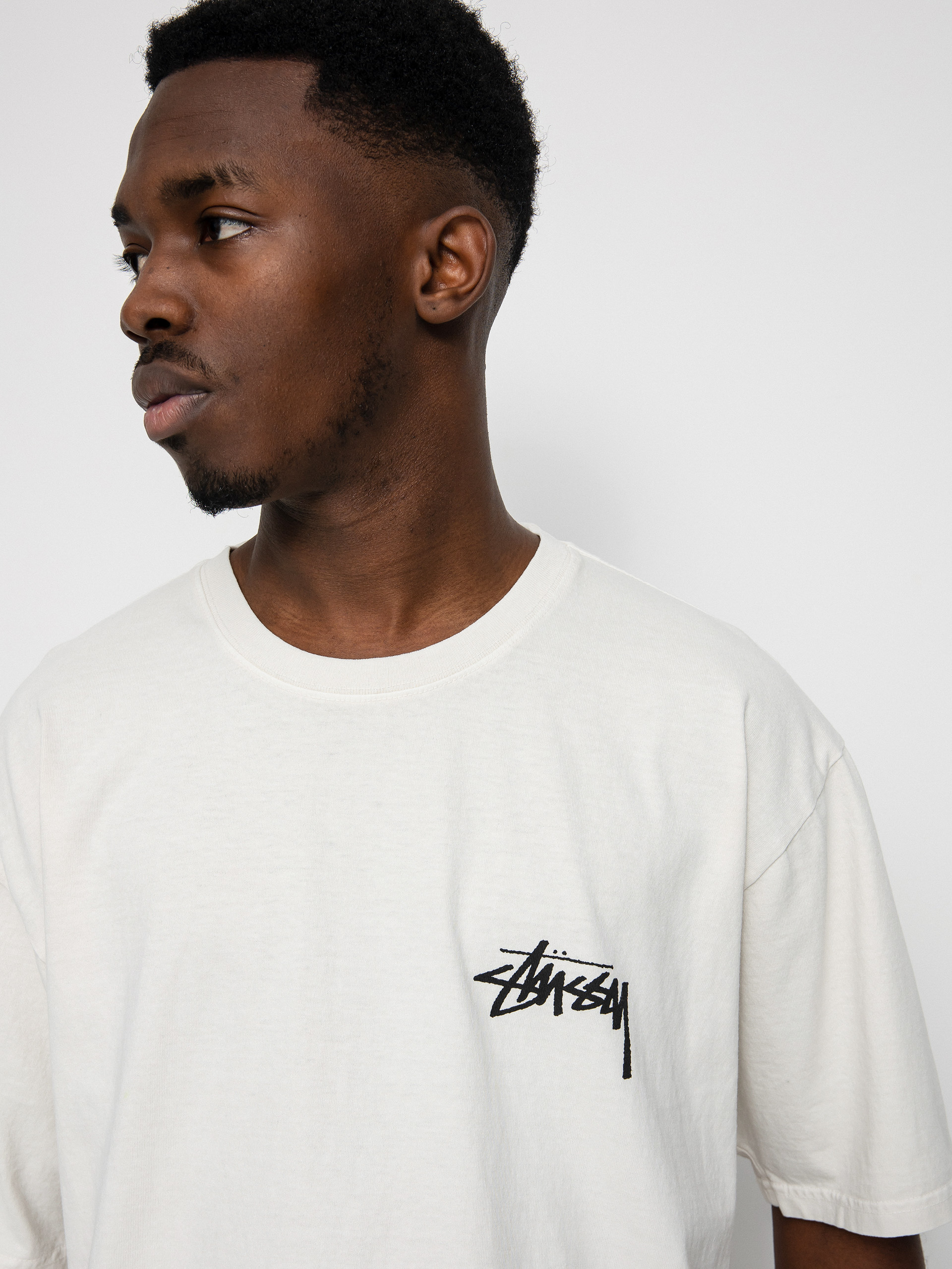 Stussy How We Re Livin Pig. Dyed T-shirt (natural)