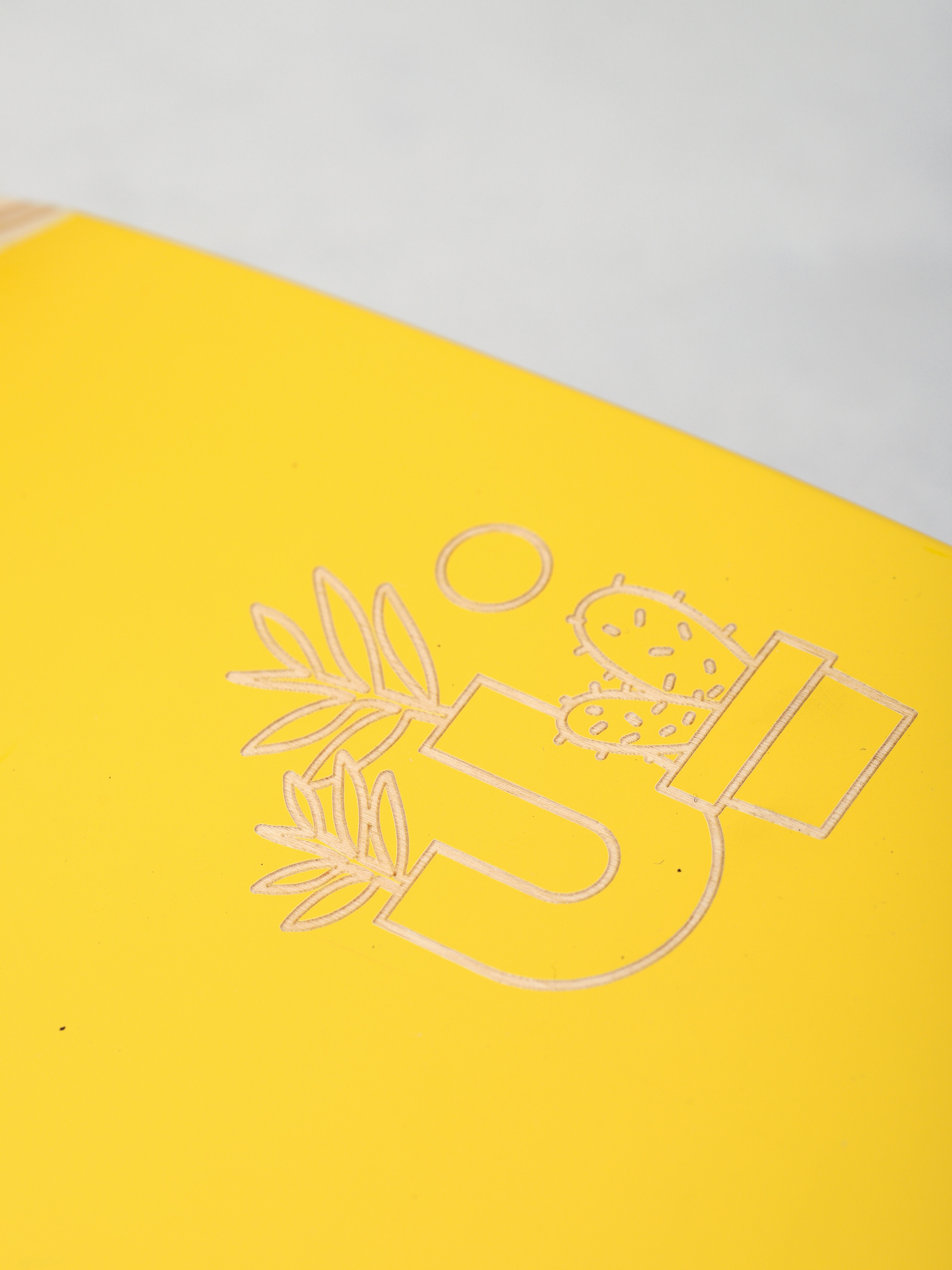 Globe Blazer Cruiser (mimosa/terrazzo)