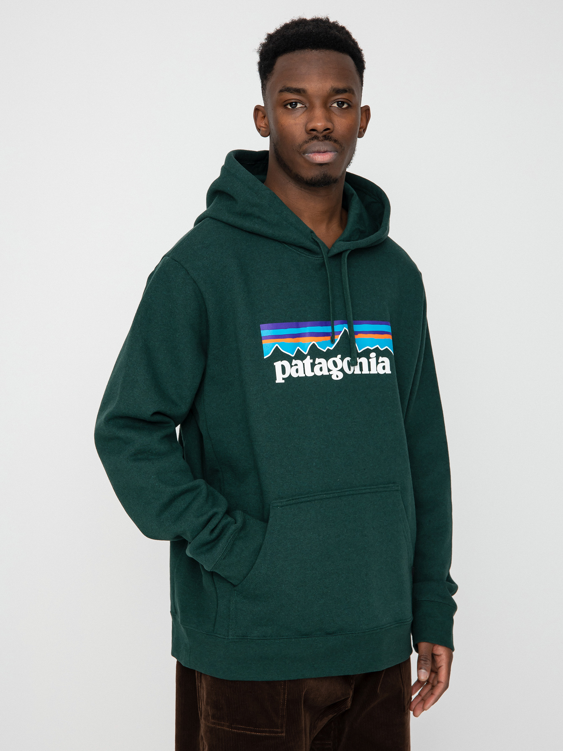 Patagonia green outlet hoodie