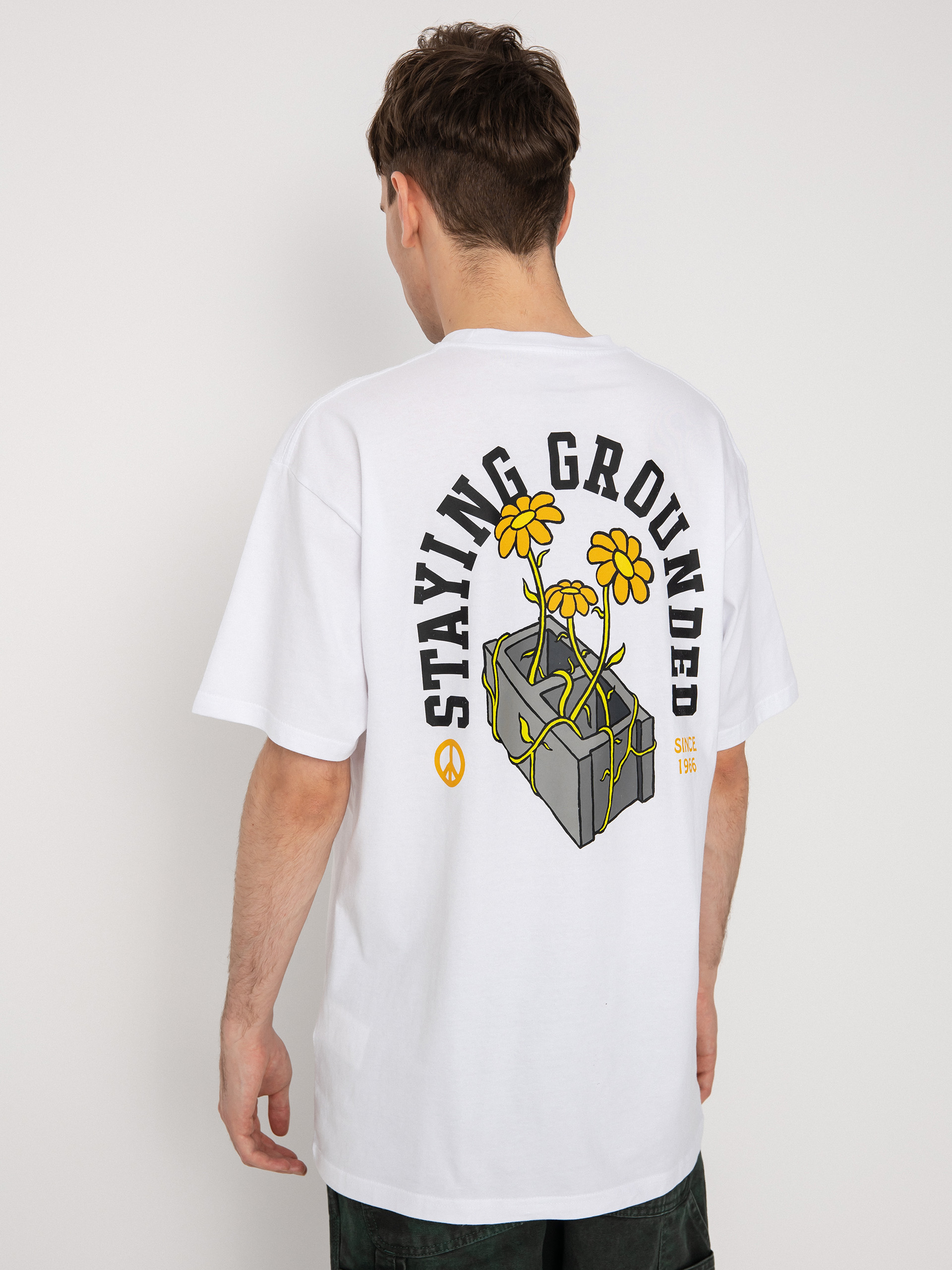 Vans Staying Grounded T-shirt (white/black)