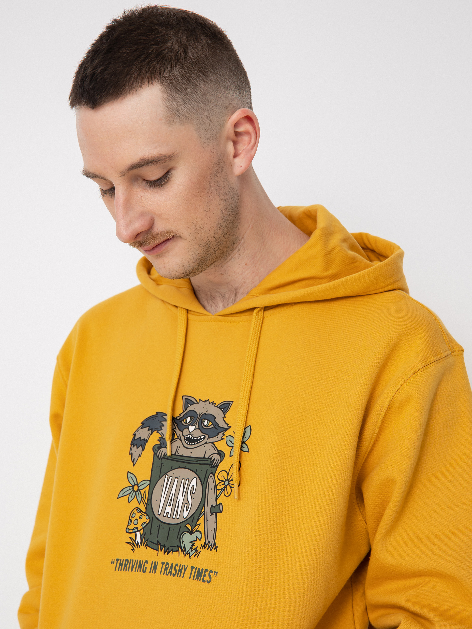 Vans Trashy Times HD Hoodie (narcissus)