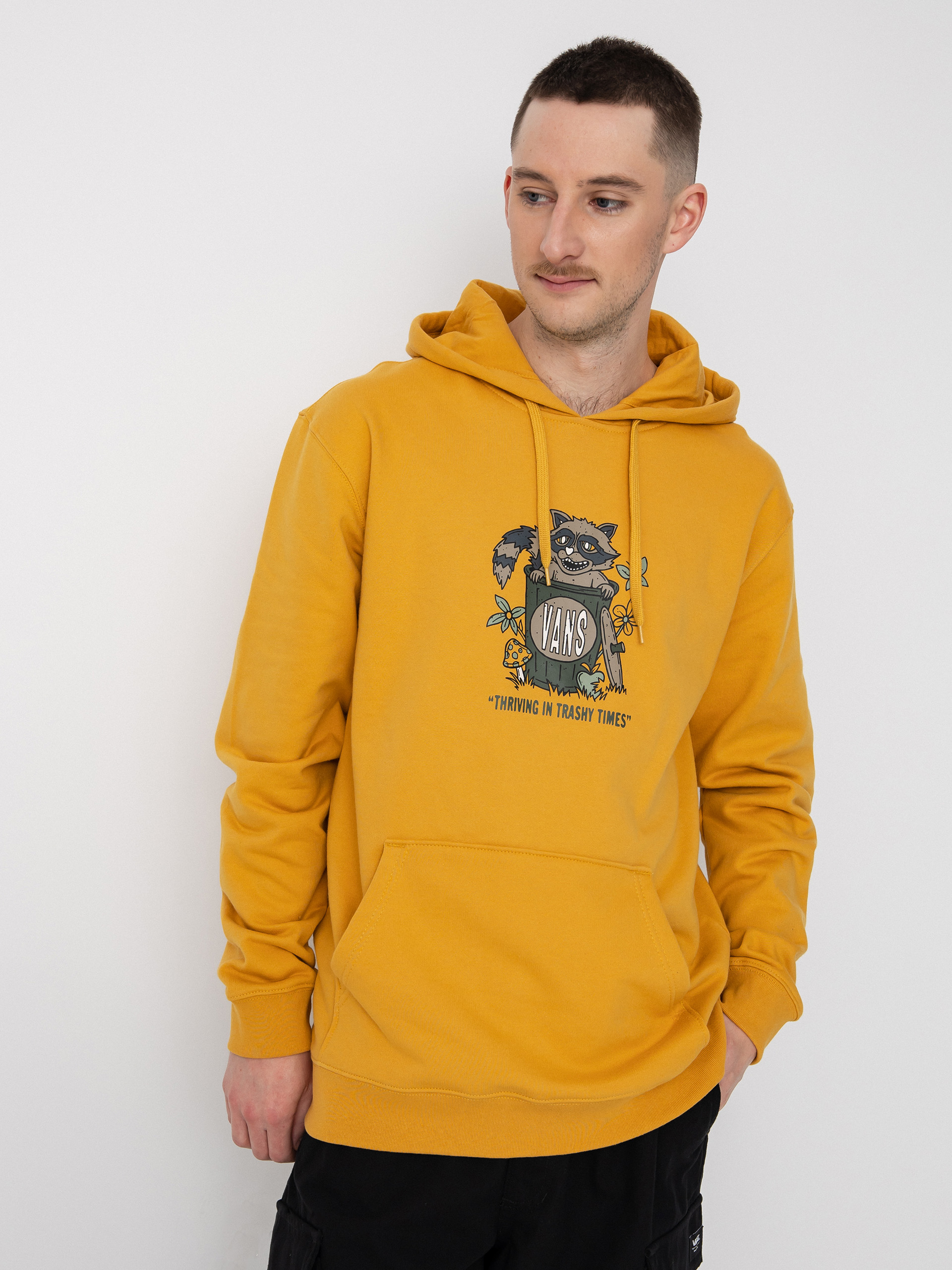 Vans Trashy Times HD Hoodie (narcissus)