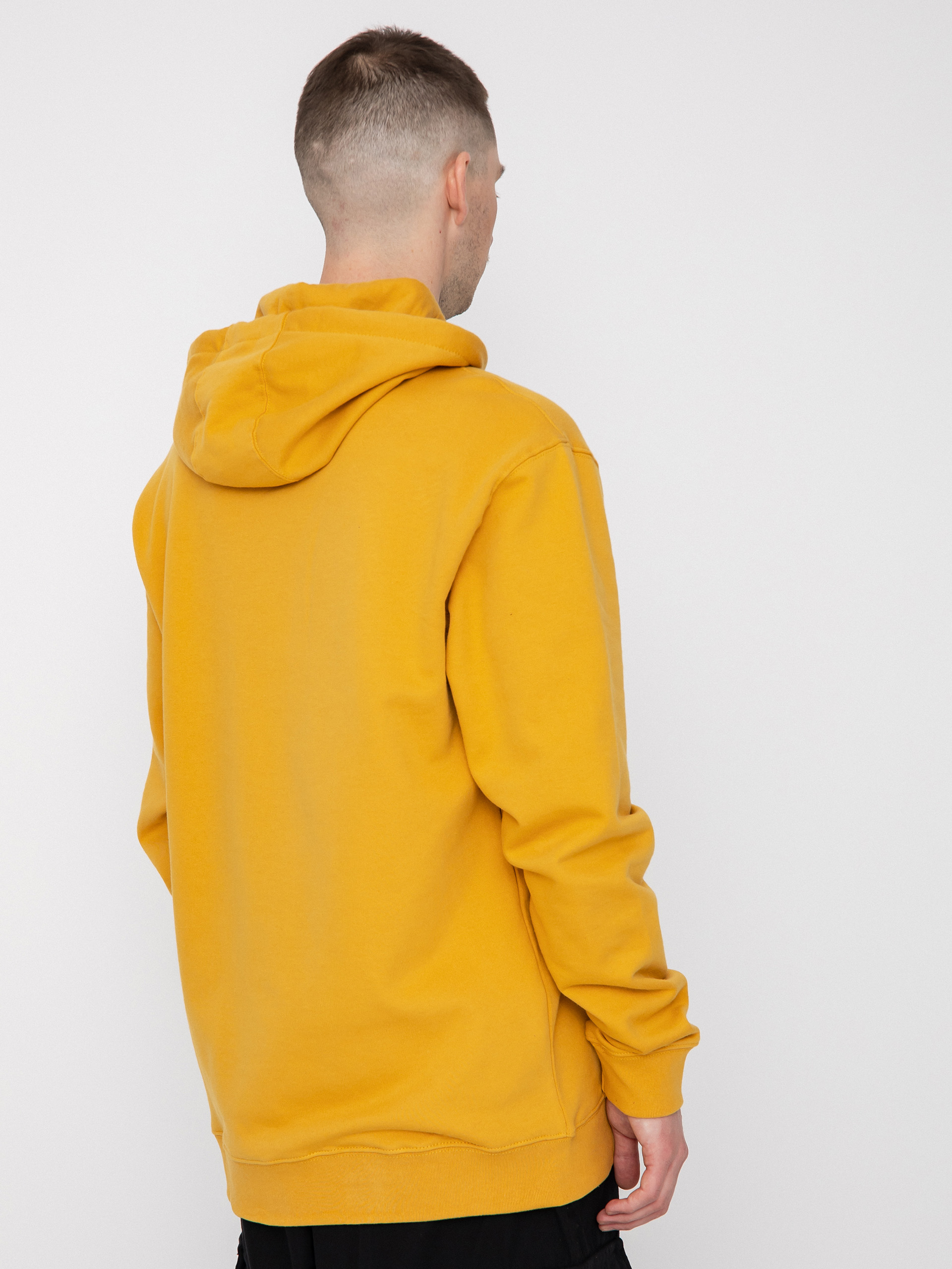 Vans Trashy Times HD Hoodie (narcissus)