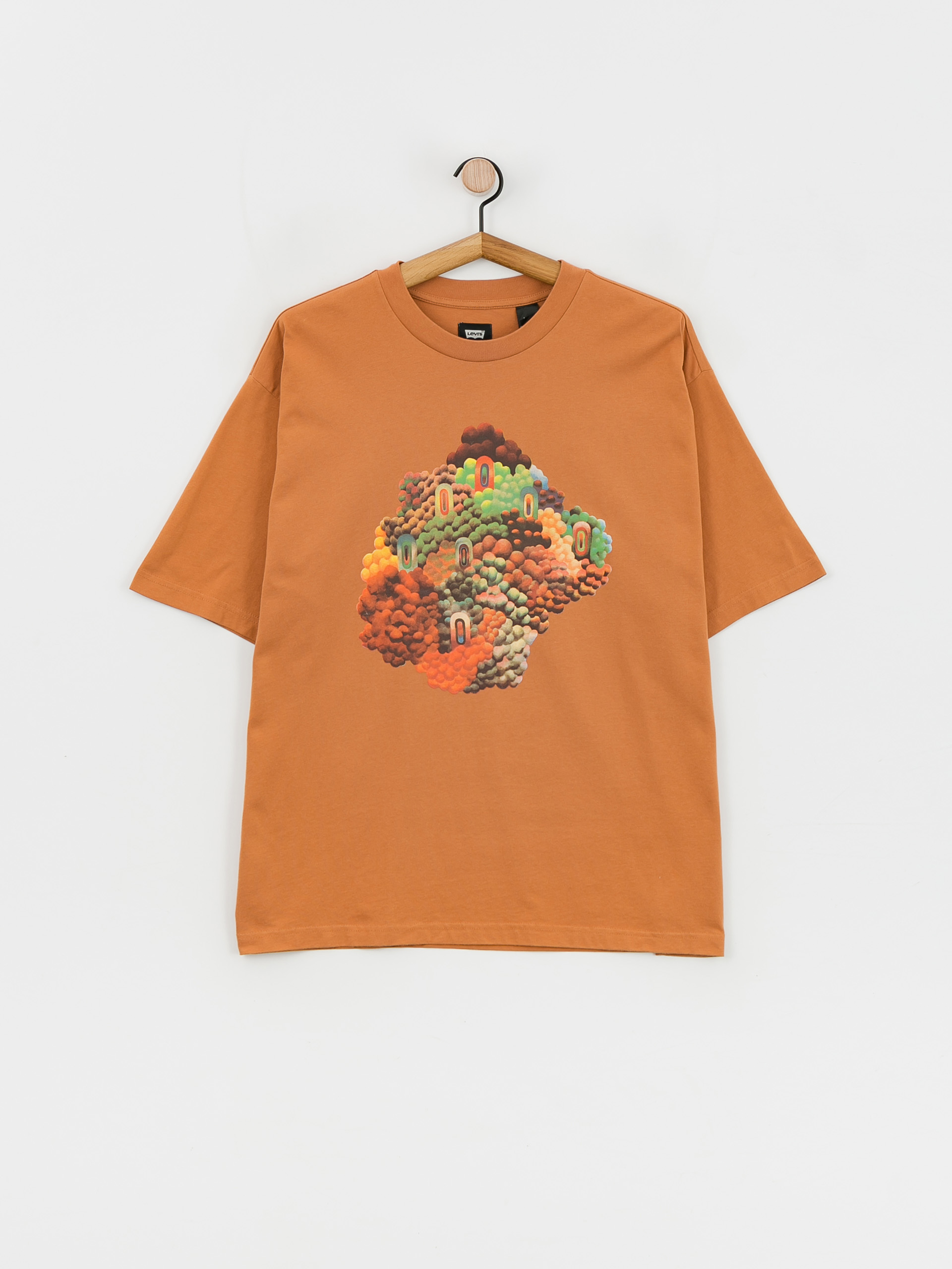 Levi's® Skate Graphic Box T-shirt (blue)