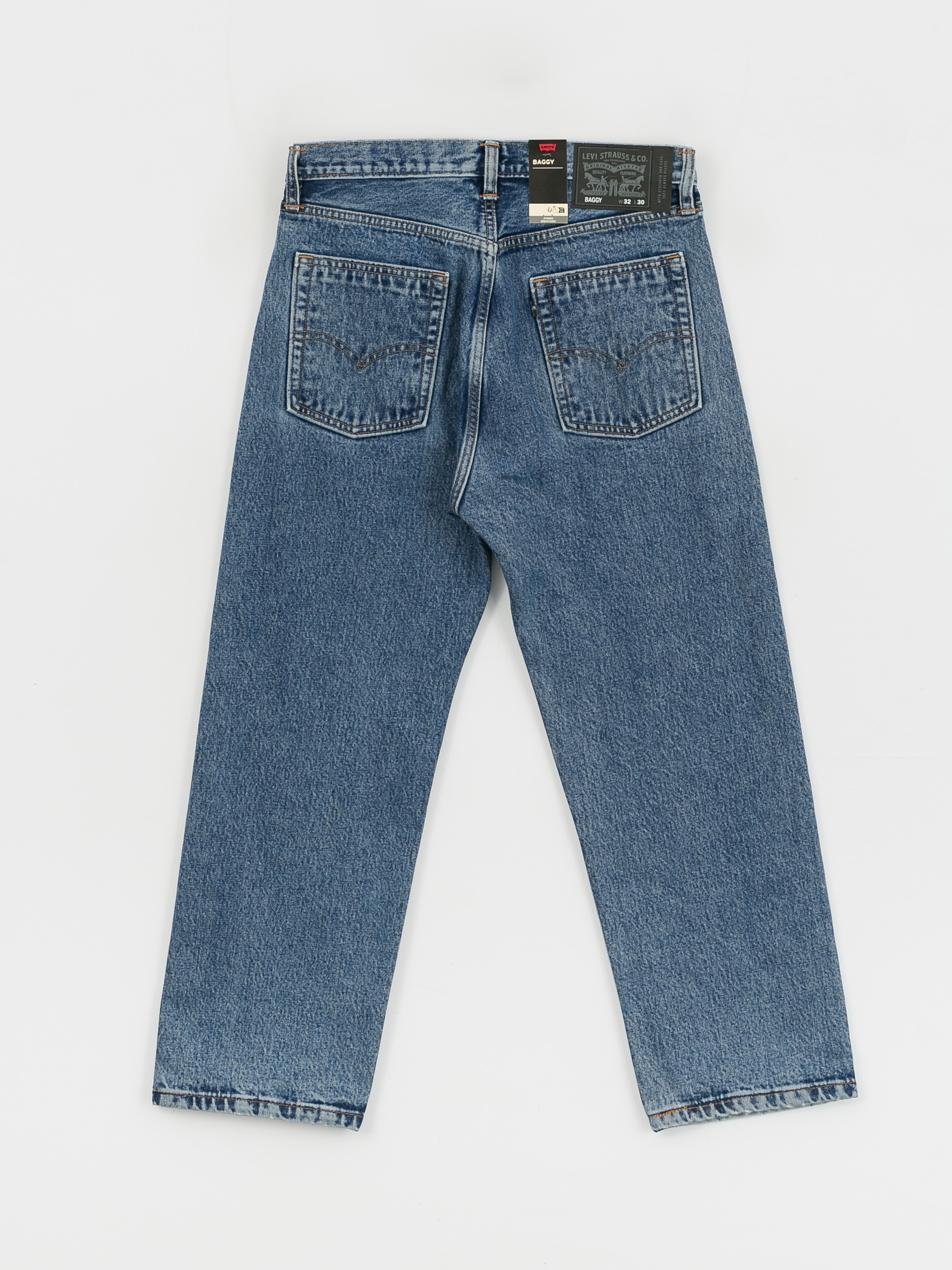 Levi's® Skate Baggy 5 Pocket Pants (in terror)