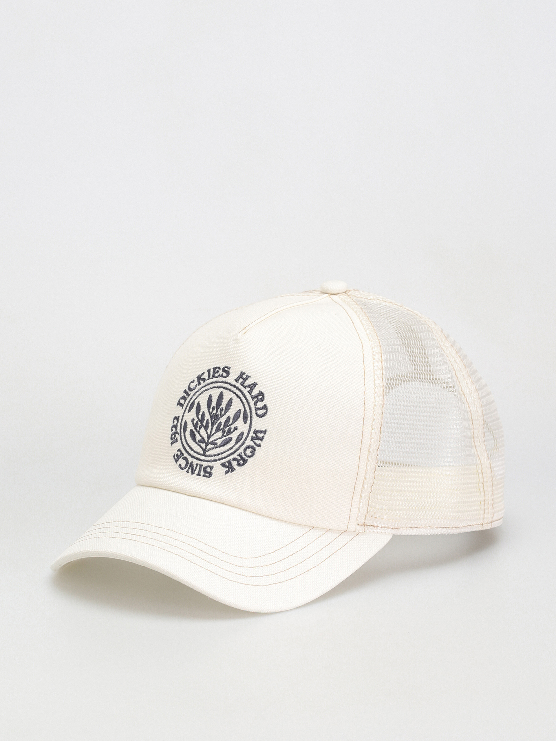 Dickies Beavertown Cap (cloud)