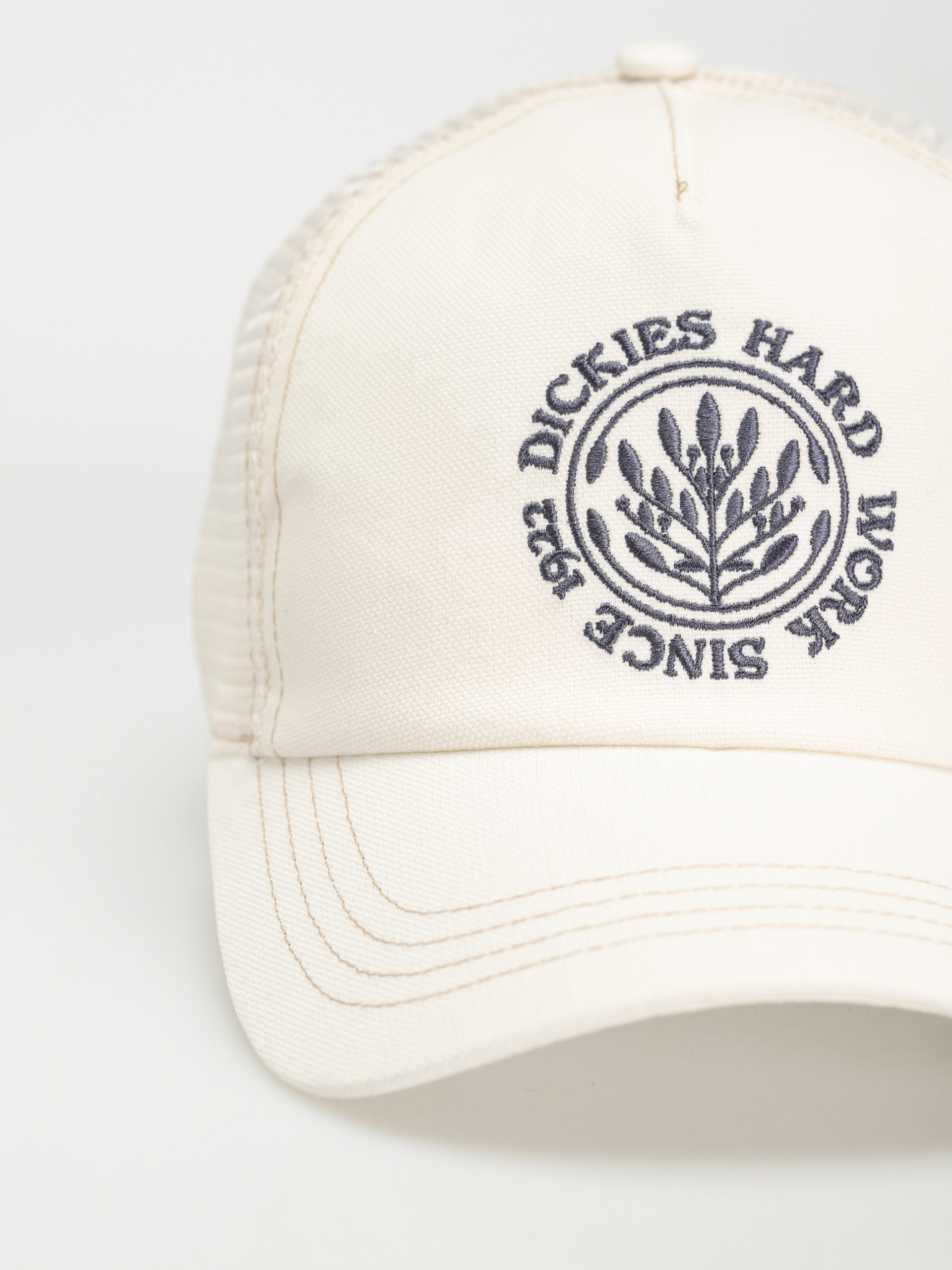 Dickies Beavertown Cap (cloud)