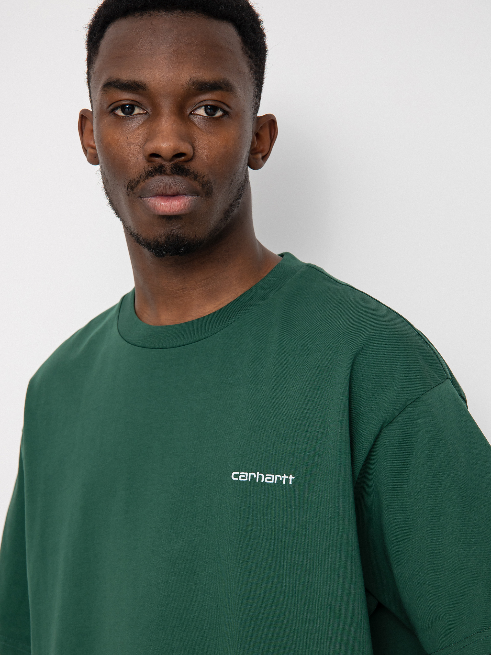 Carhartt WIP Script Embroidery T-shirt (treehouse/white)