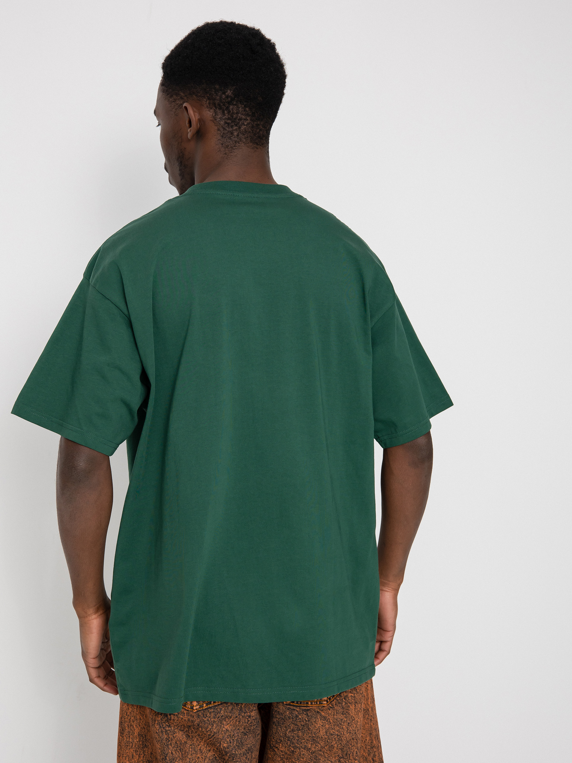 Carhartt WIP Script Embroidery T-shirt (treehouse/white)