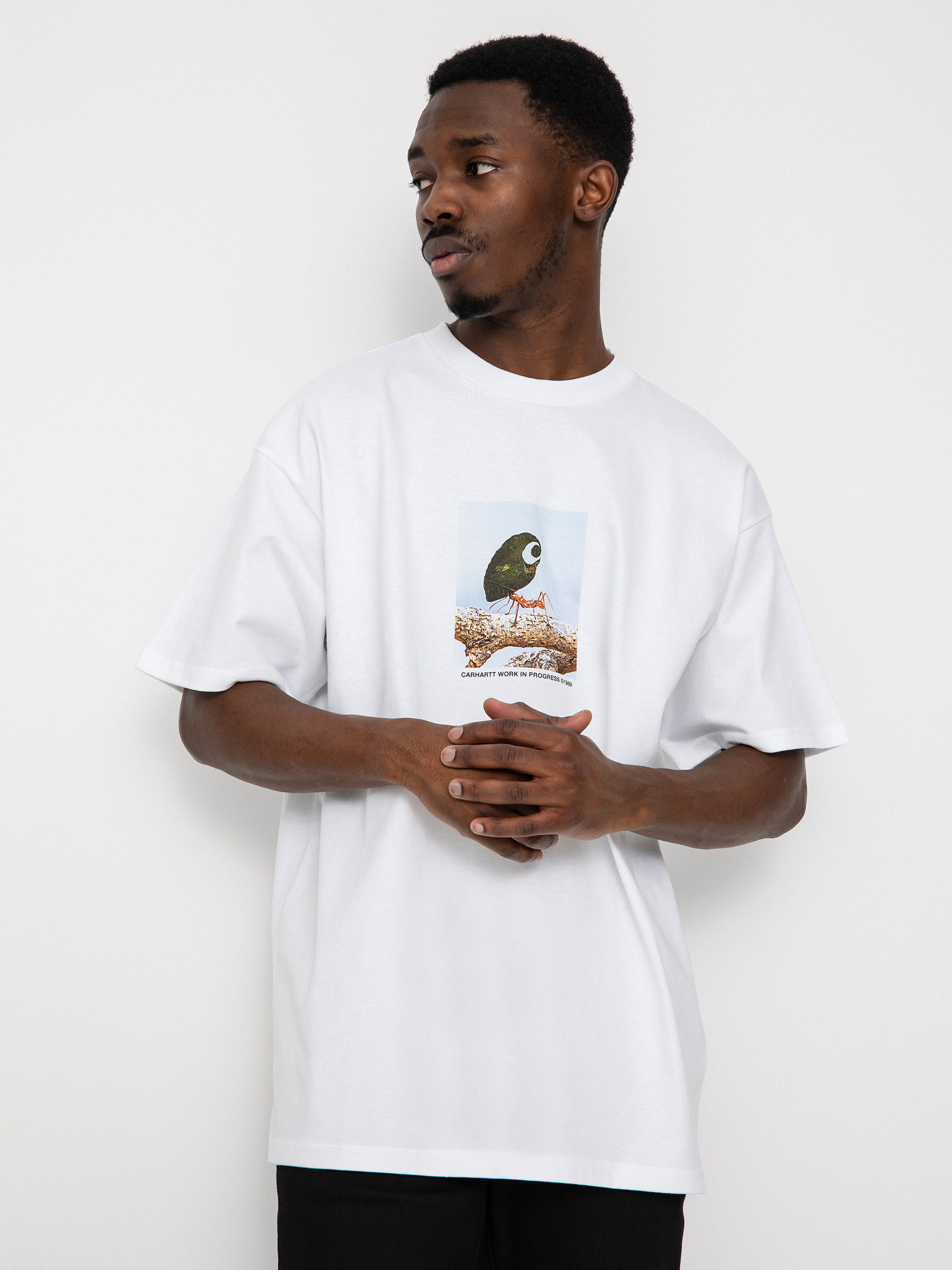Carhartt WIP Antleaf T-shirt - white (white)