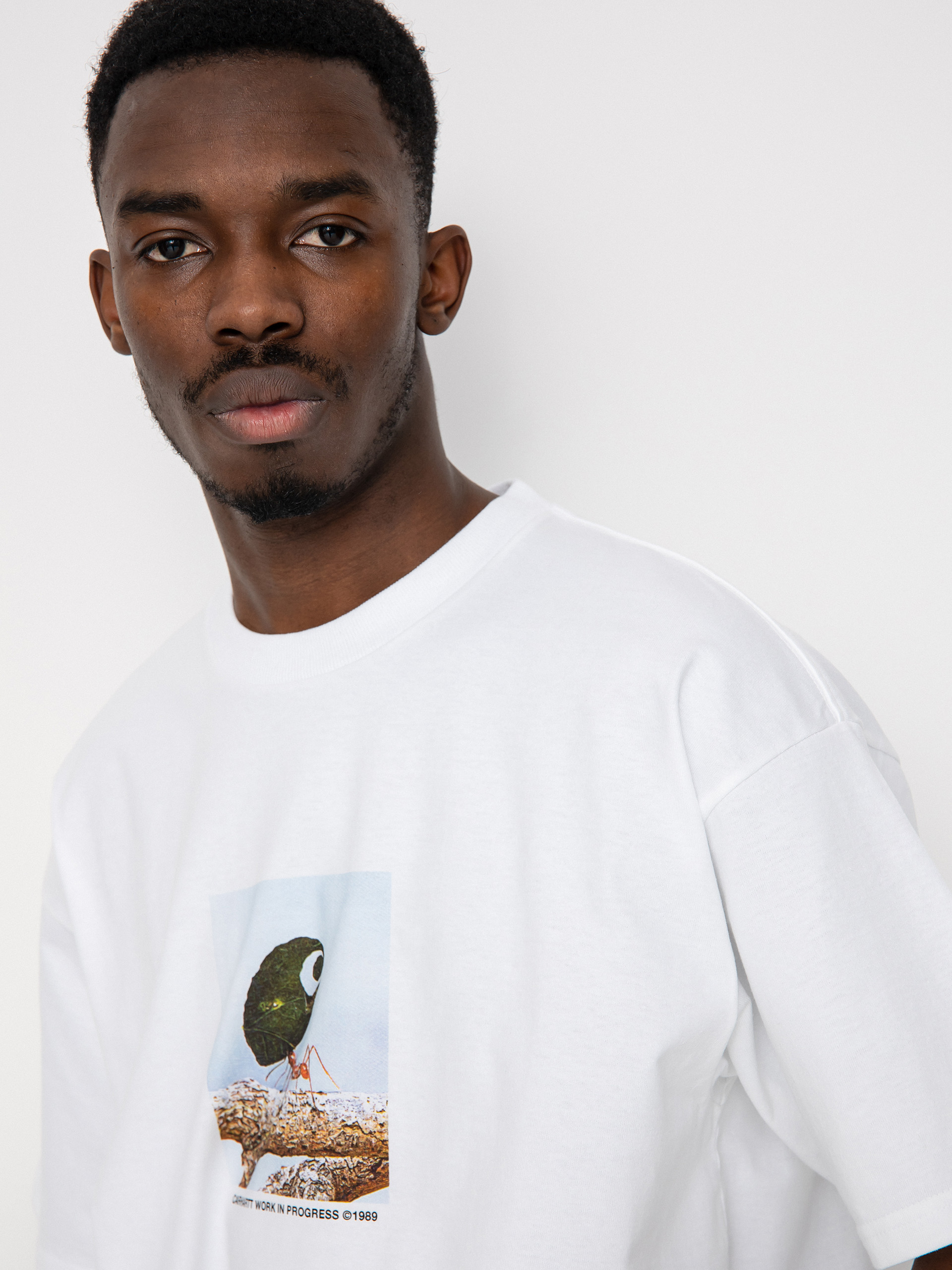 Carhartt WIP Antleaf T-shirt - white (white)