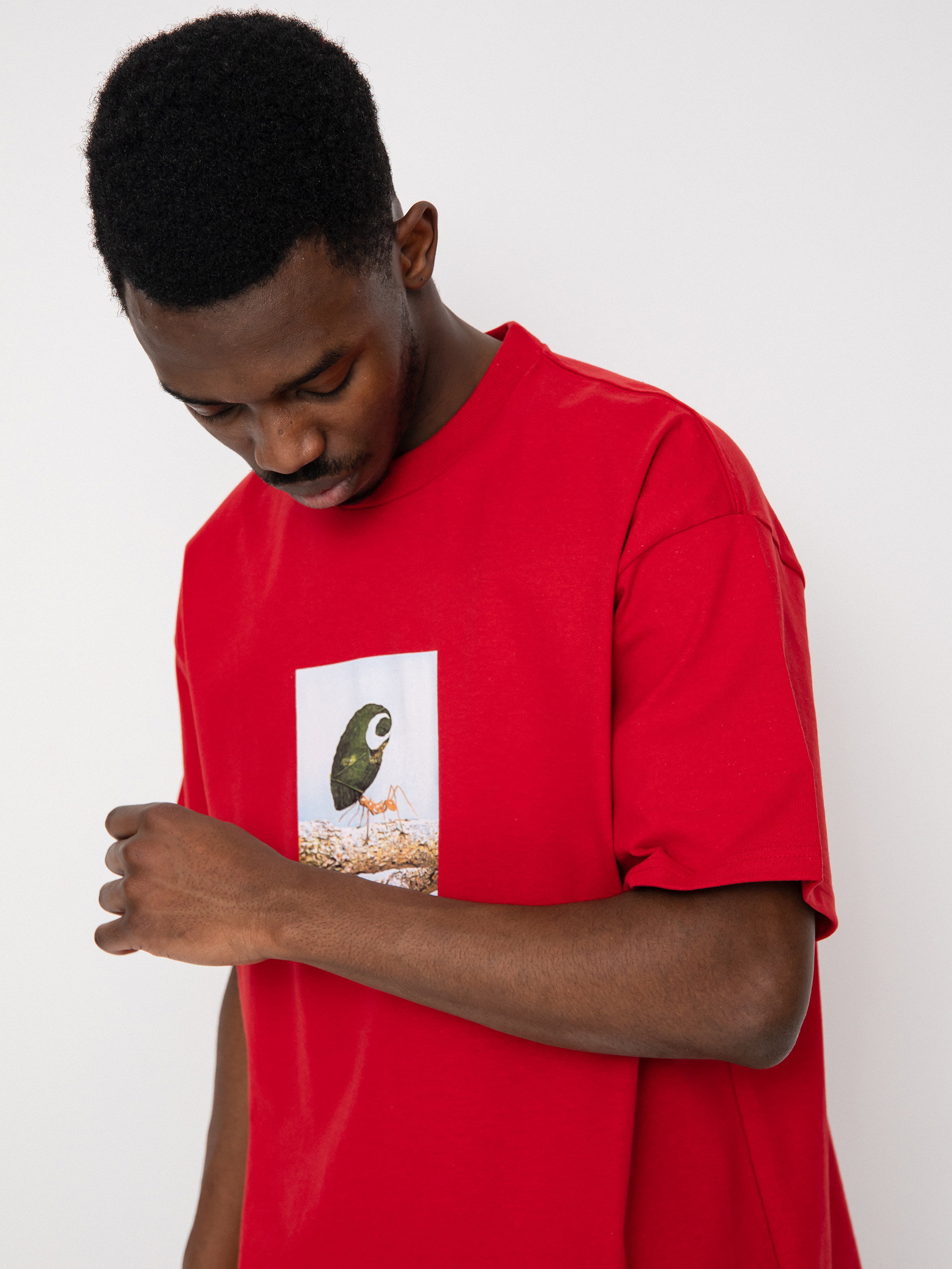 Carhartt WIP Antleaf T-shirt - red (arcade)