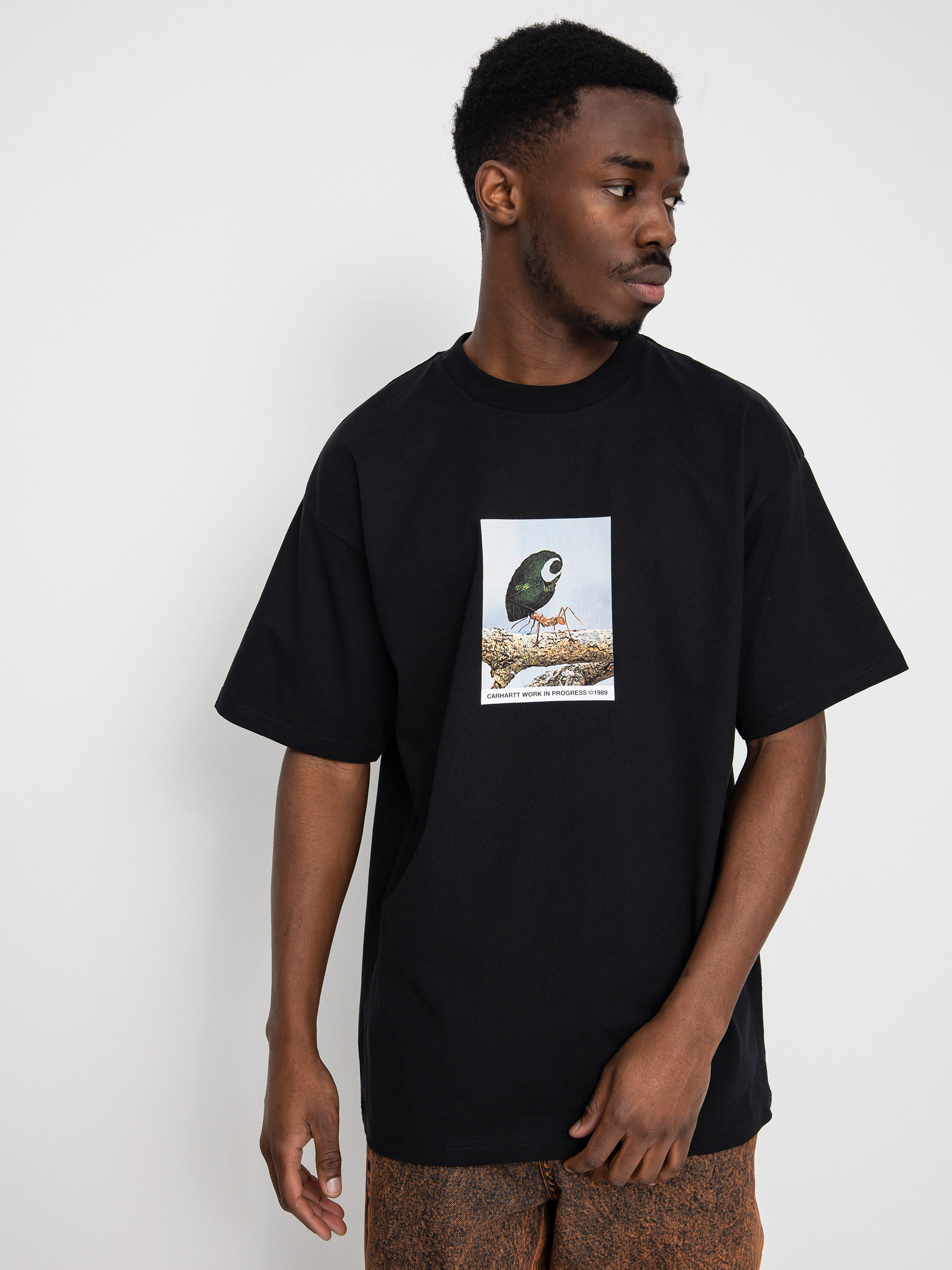Carhartt WIP Antleaf T-shirt - black (black)