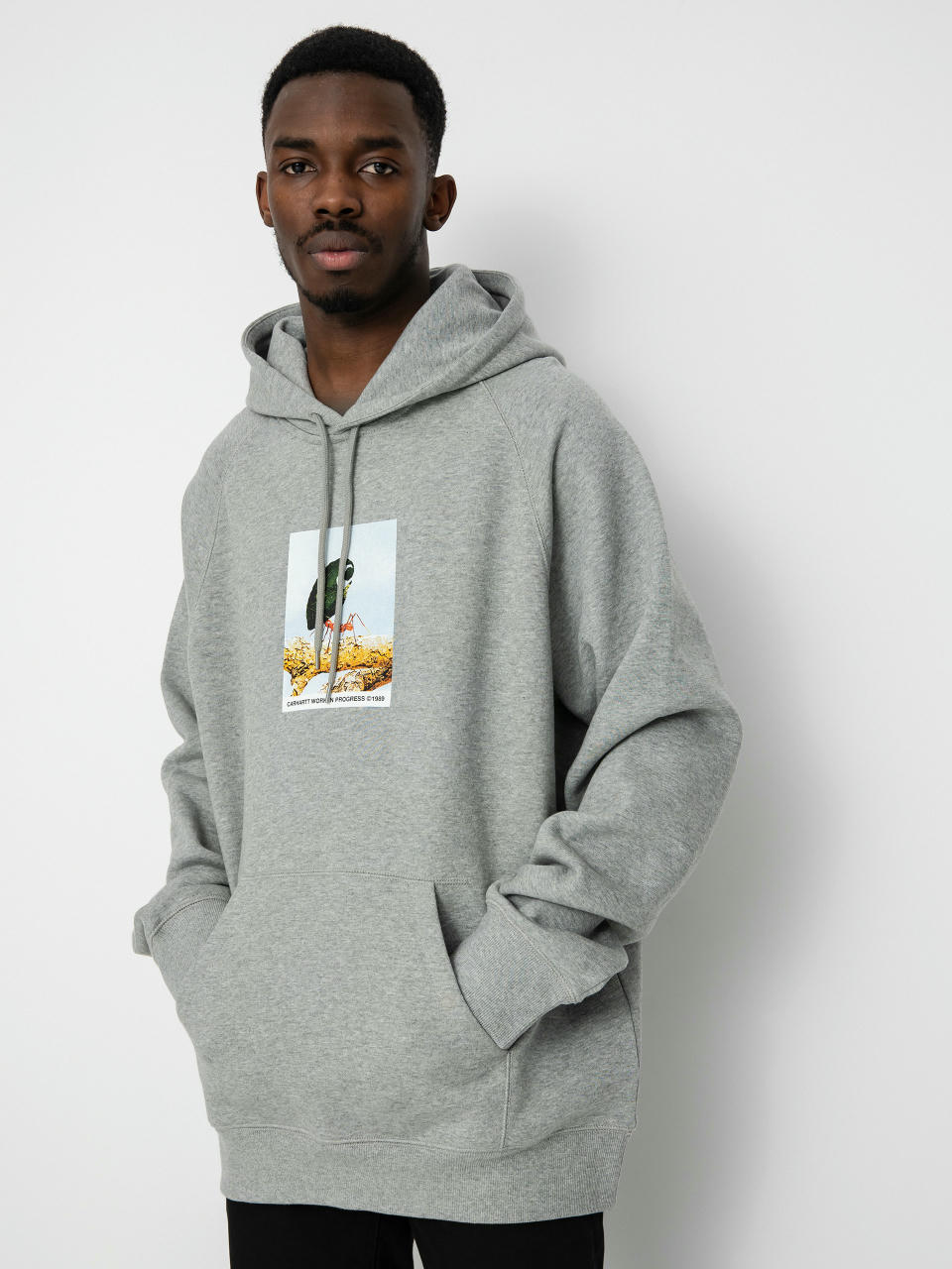 Carhartt WIP Antleaf HD Hoodie (grey heather)