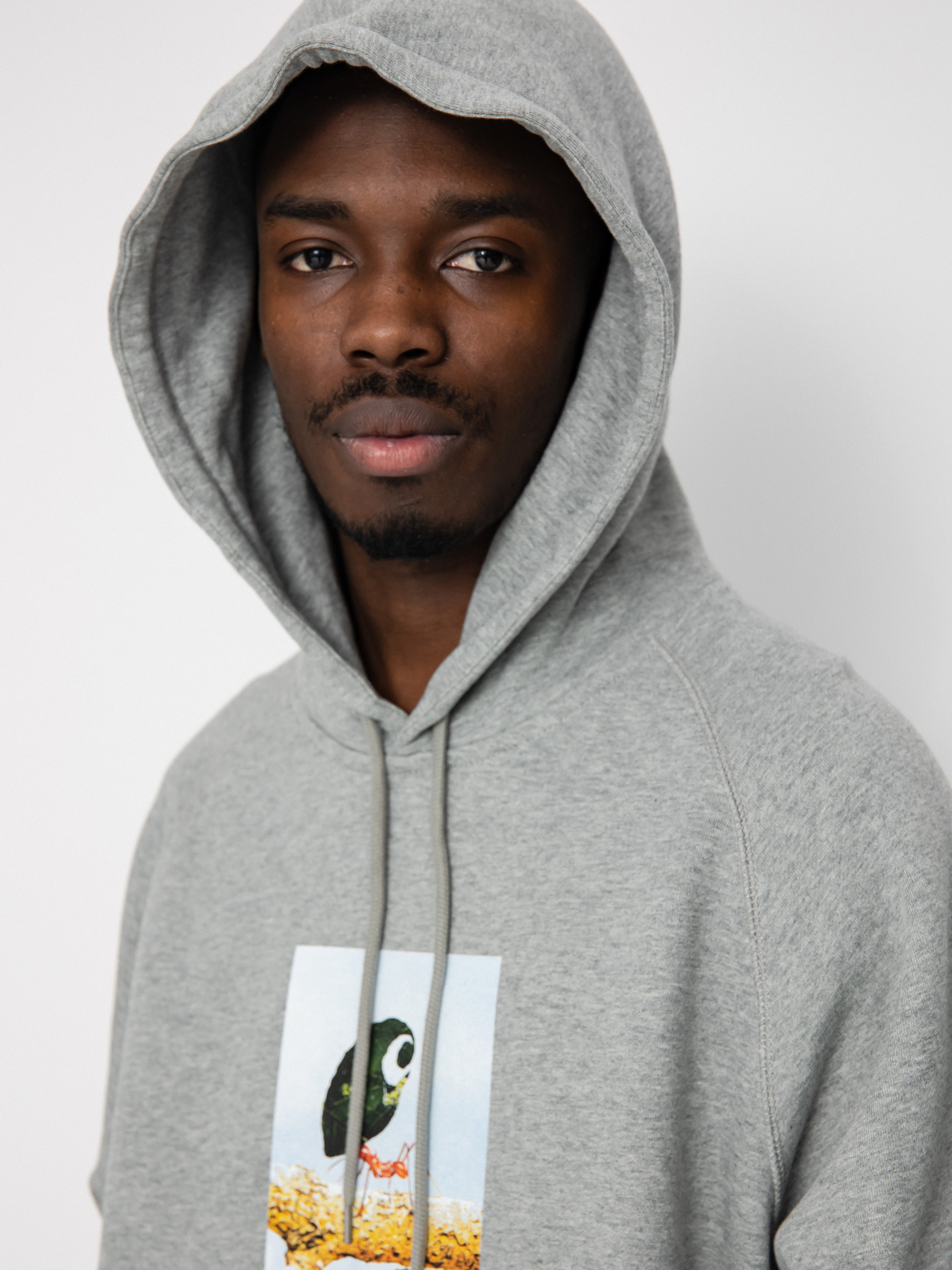 Carhartt WIP Antleaf HD Hoodie (grey heather)