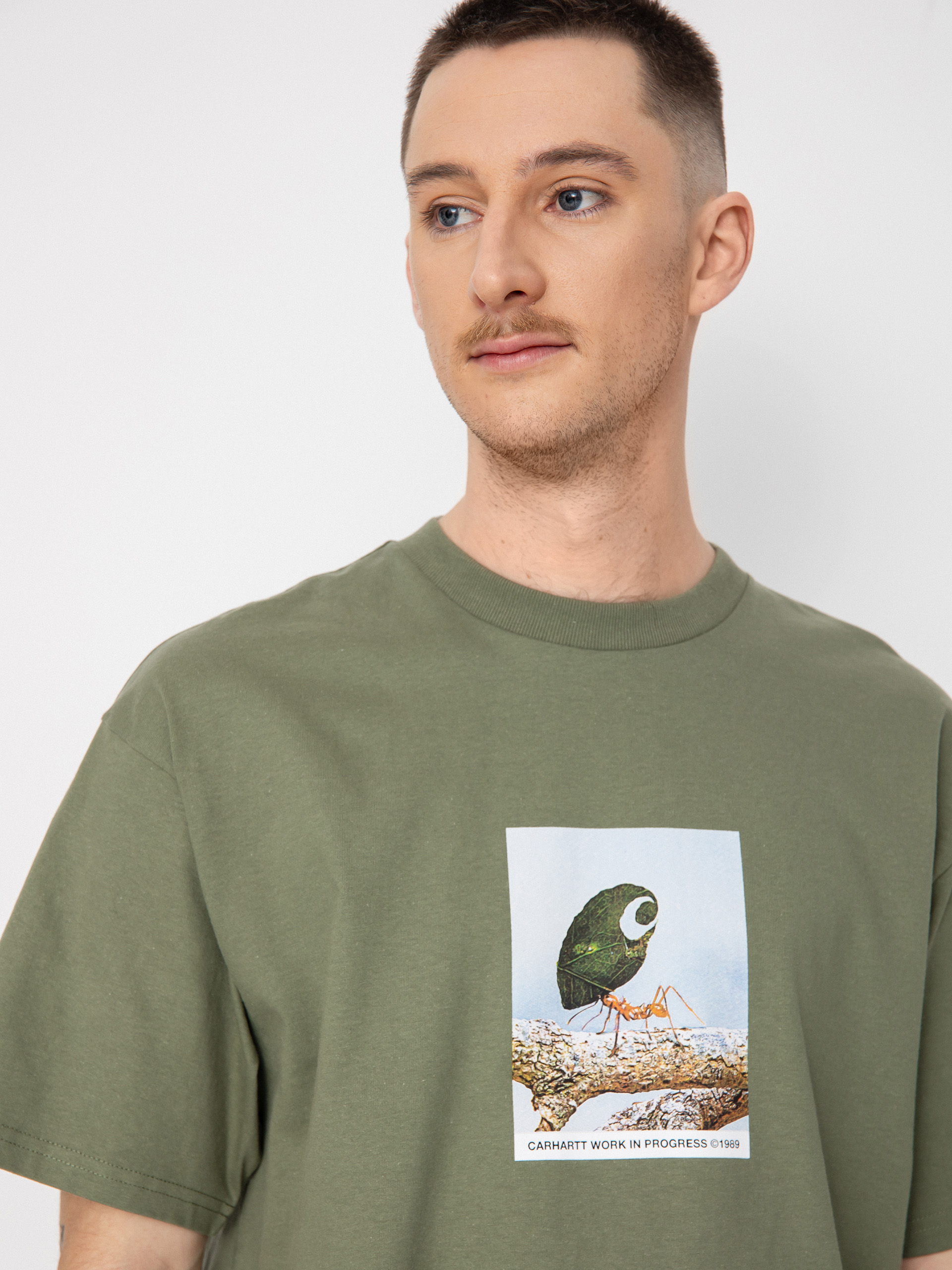 Carhartt WIP Antleaf T-shirt - green (dollar green)