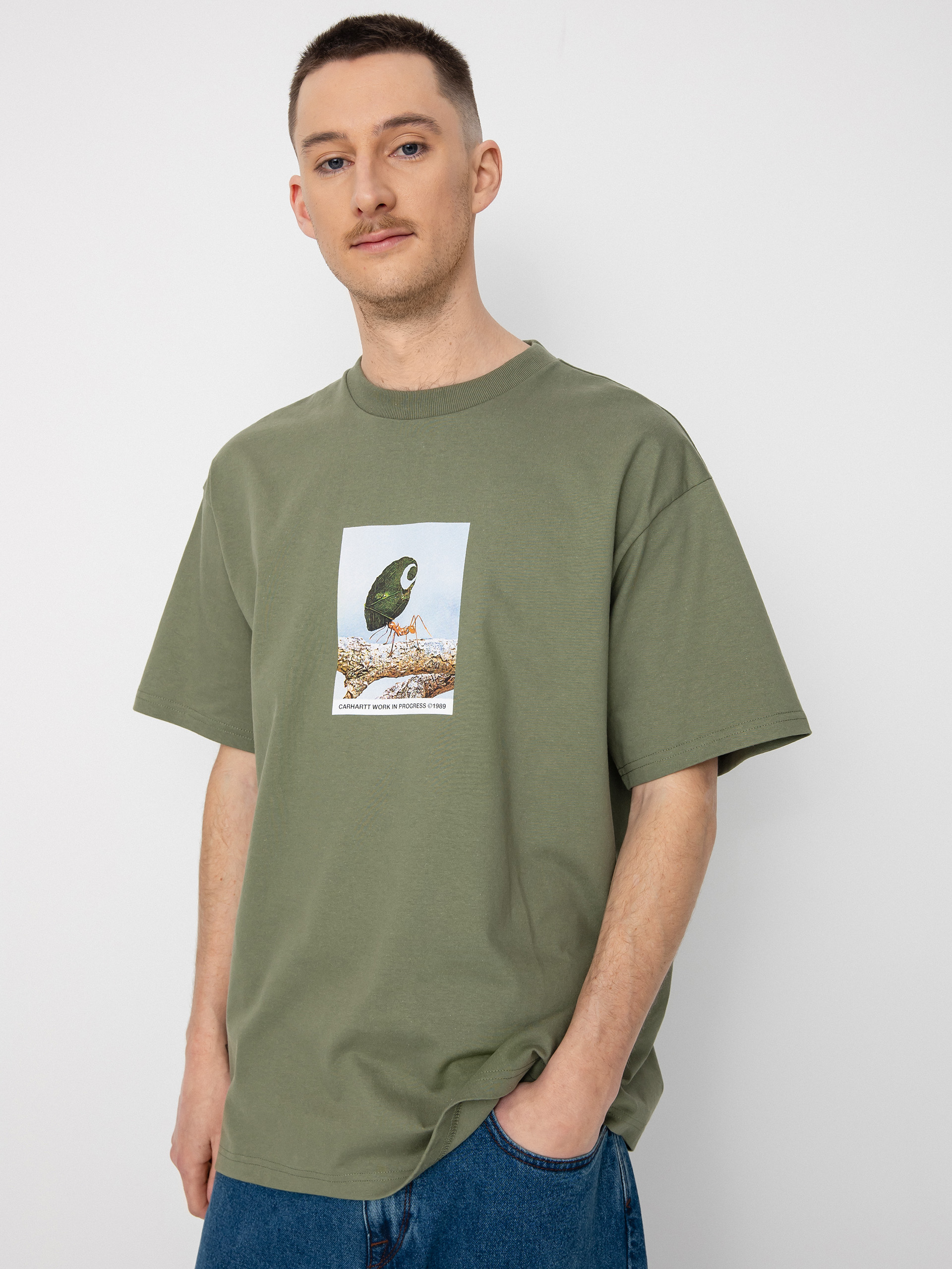 Carhartt WIP Antleaf T-shirt - green (dollar green)