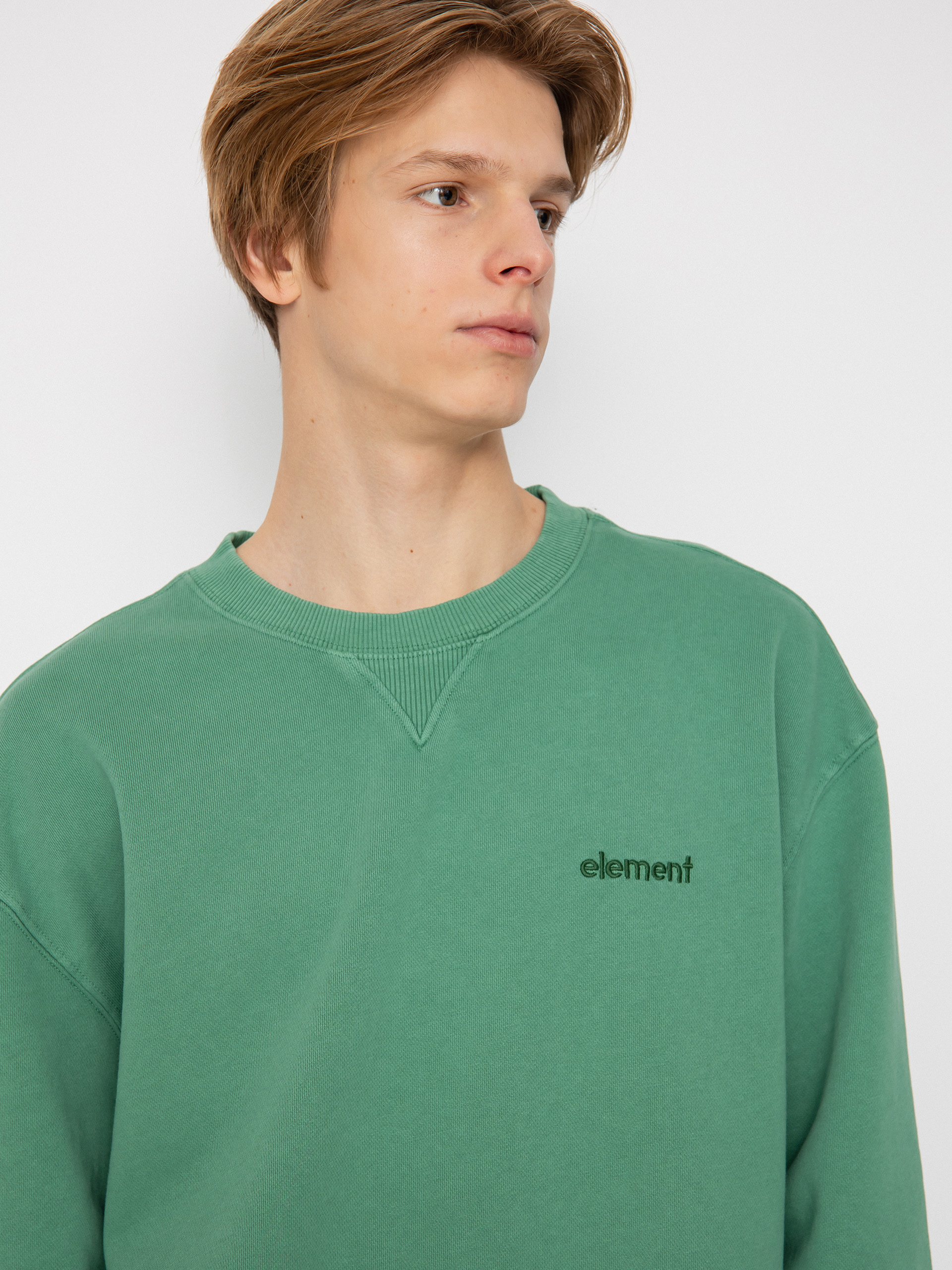 Element Cornell 3.0 Crew Sweatshirt (foliage)
