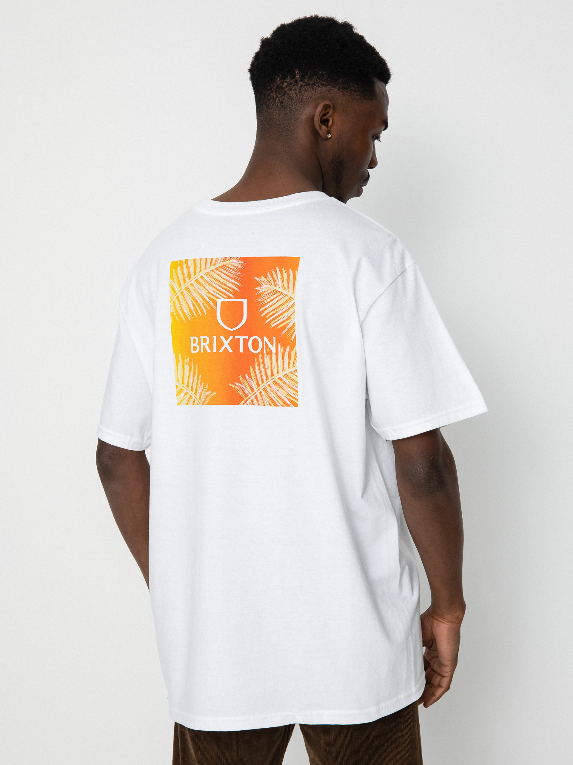 Brixton Alpha Square T-shirt (white/palm gradient)