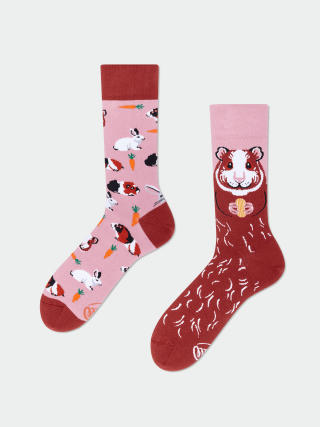 Many Mornings Miss Guinea Pig Socks (pink/burgundy)