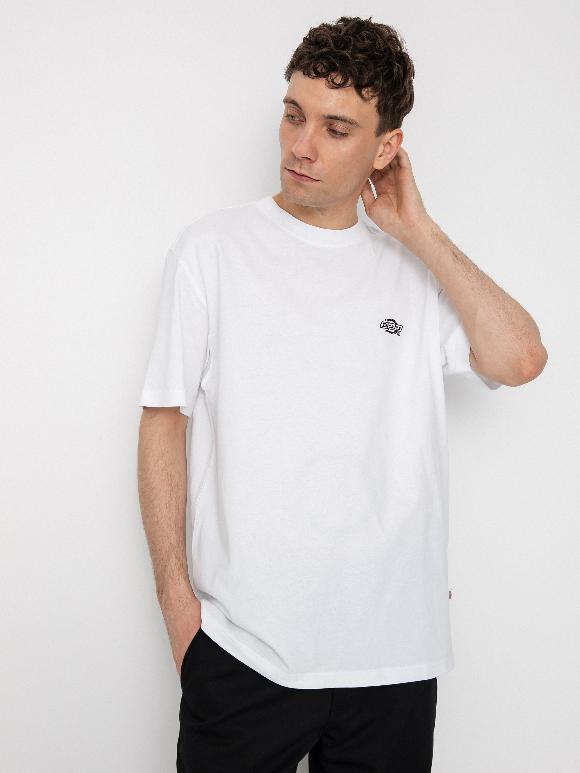 Dickies Summerdale T-shirt (white)