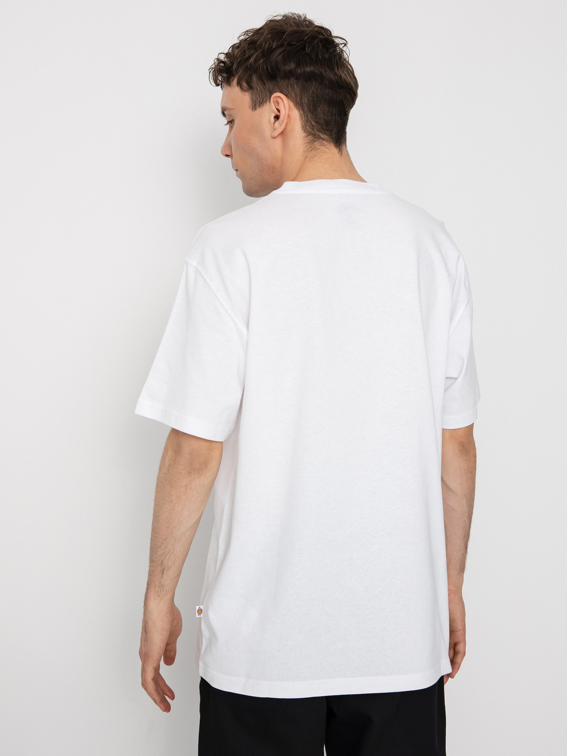 売れ筋商品|||ディッキーズ Tシャツ レディース トップス SUMMERDALE TEE - Basic T-shirt - white DK0A4Y1BWHX1-1_1_5.jpg