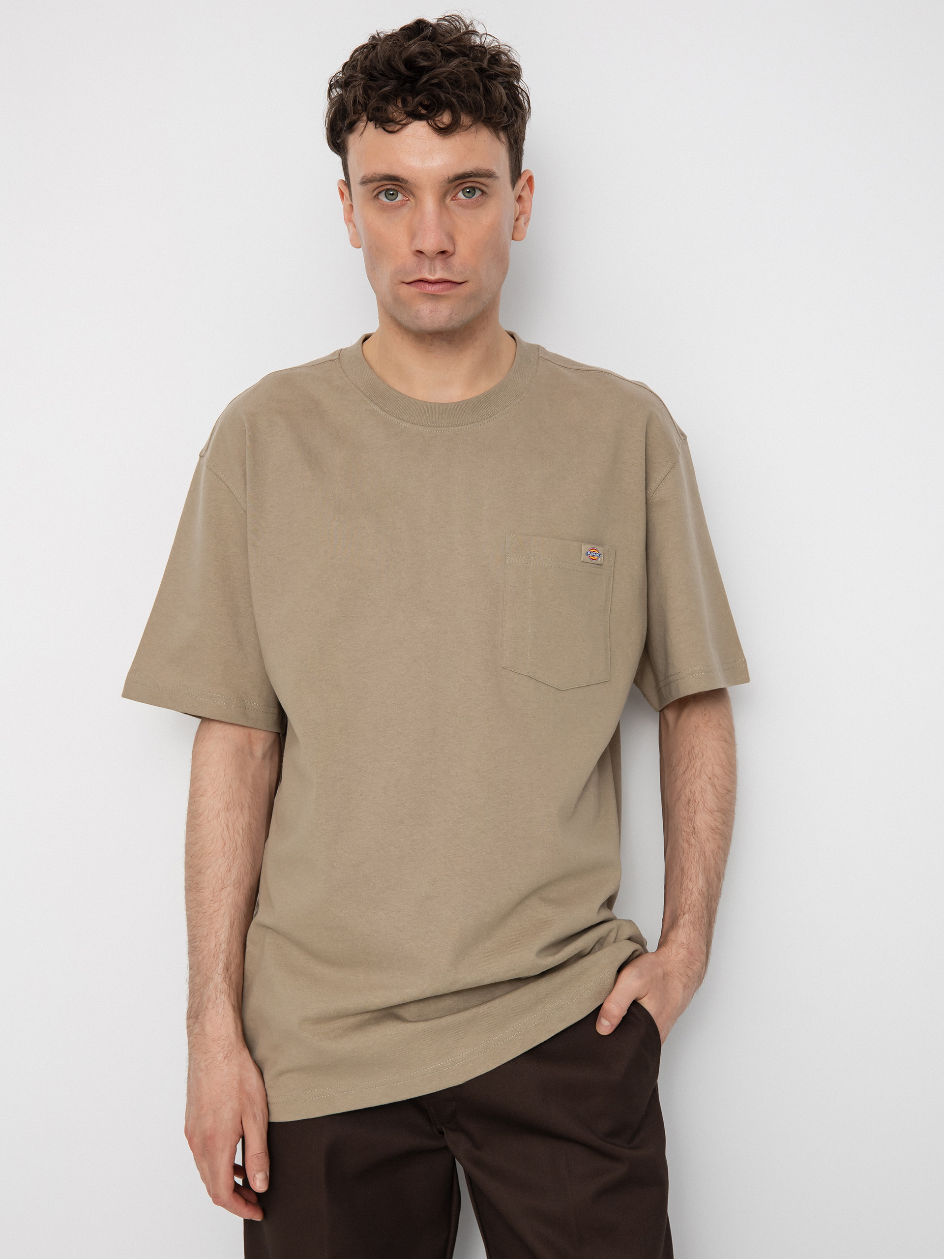 Dickies Porterdale T-shirt (desert sand)