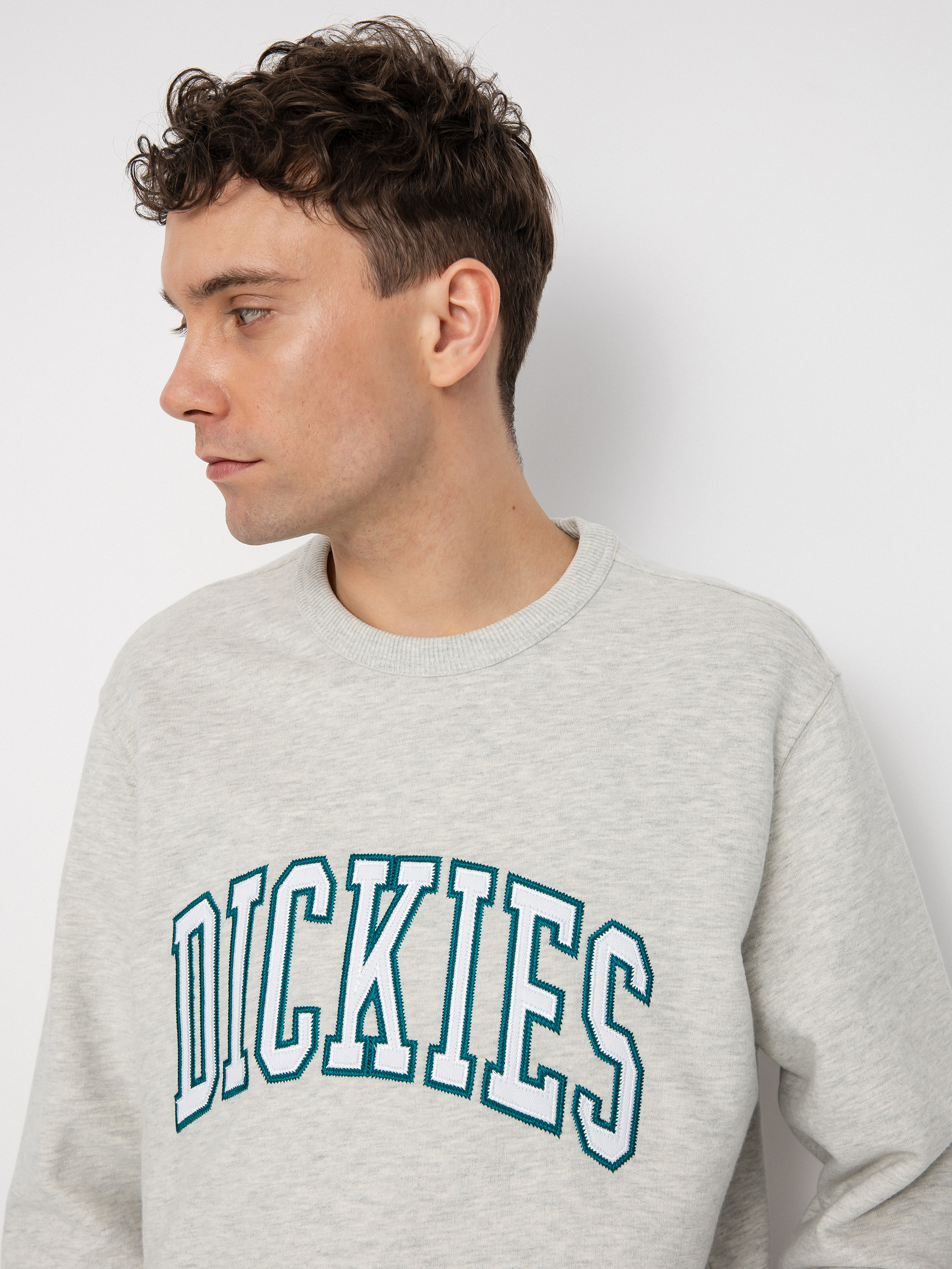Dickies Aitkin Sweatshirt (gry/deep lake)