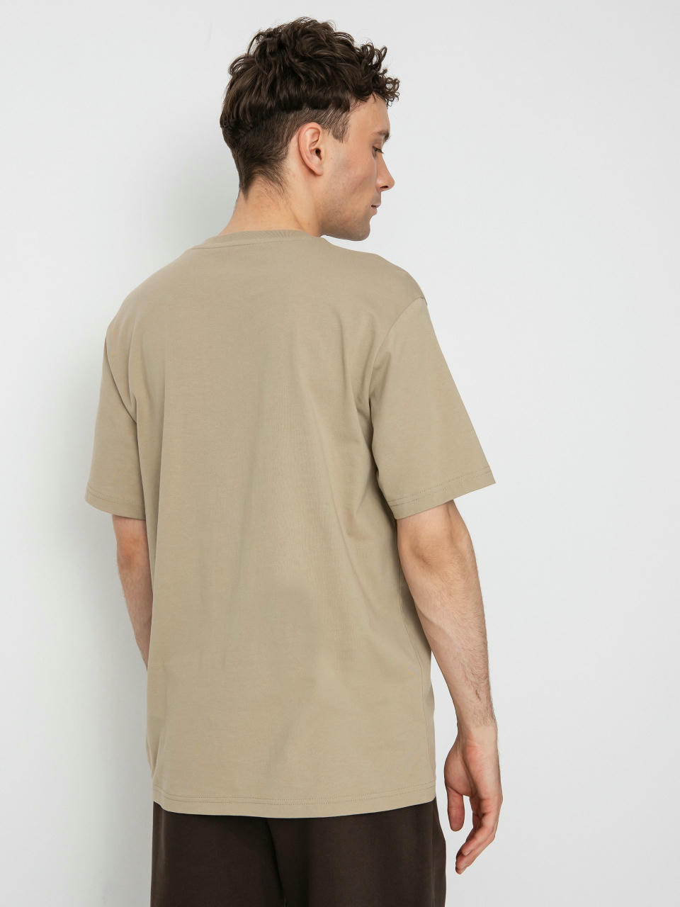 Dickies Mapleton T-shirt (desert sand)