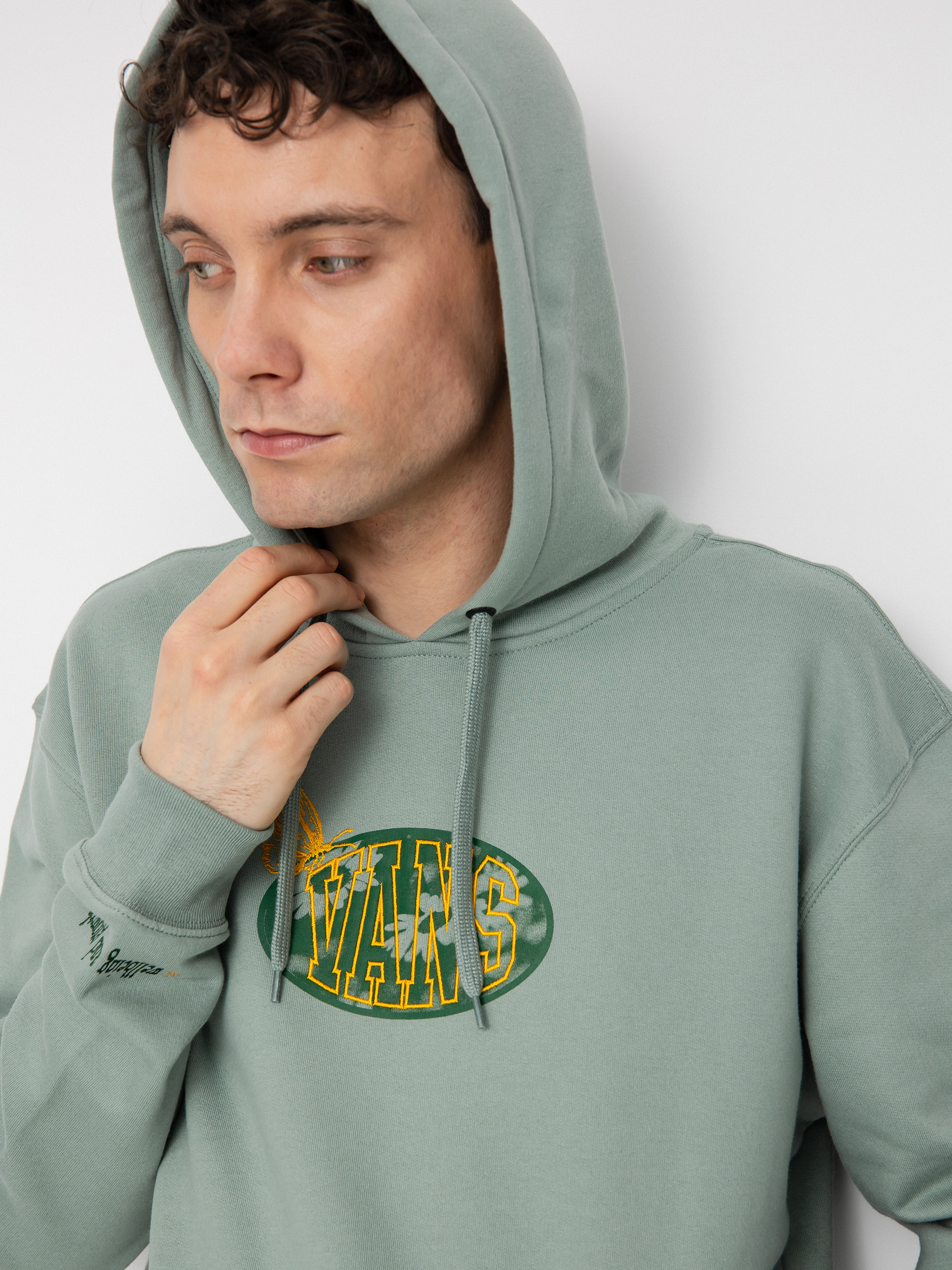Vans Daisy Photo HD Hoodie (chinois green)
