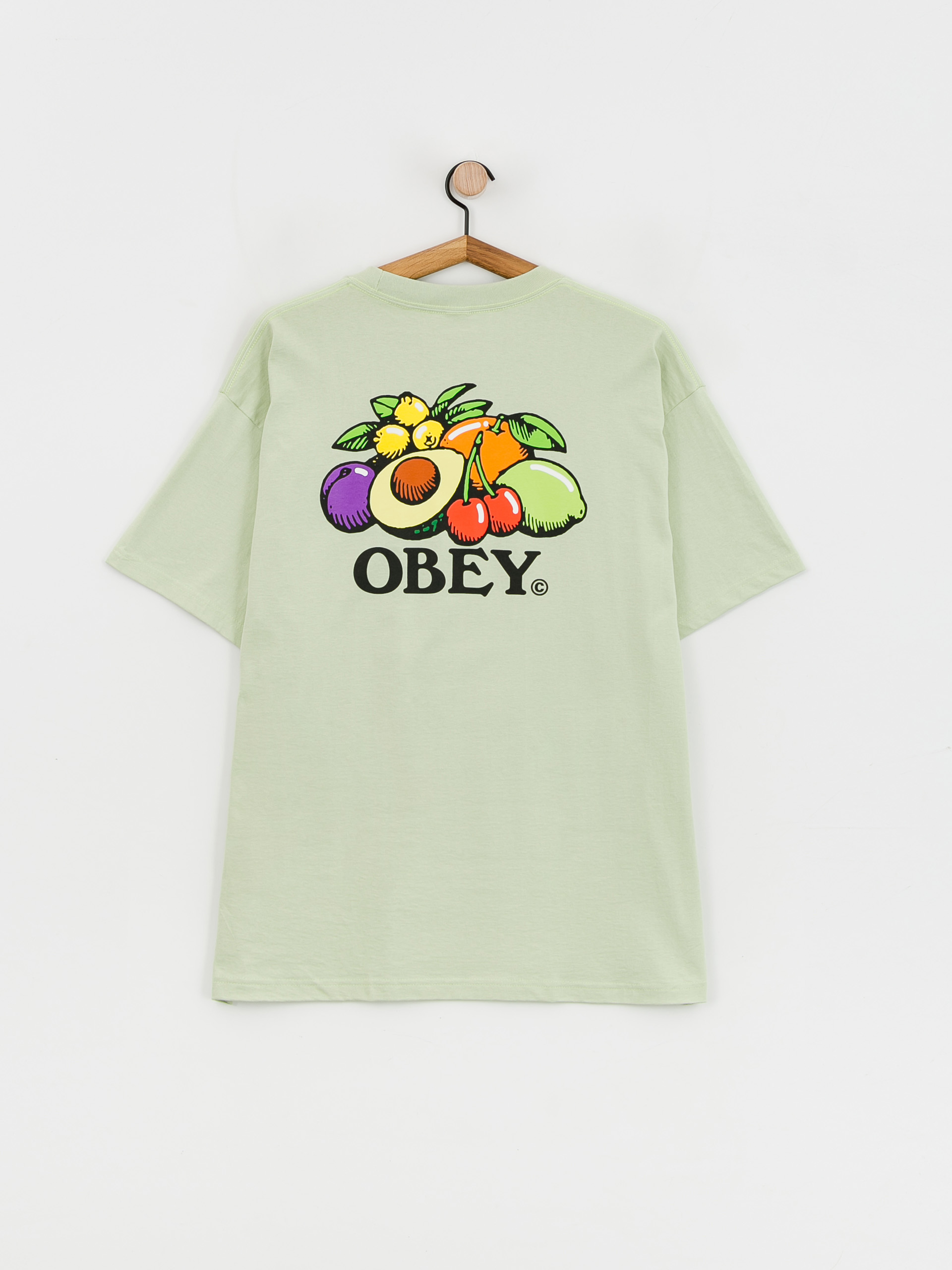 OBEY Bowl Of Fruit T-Shirt (cucumber)
