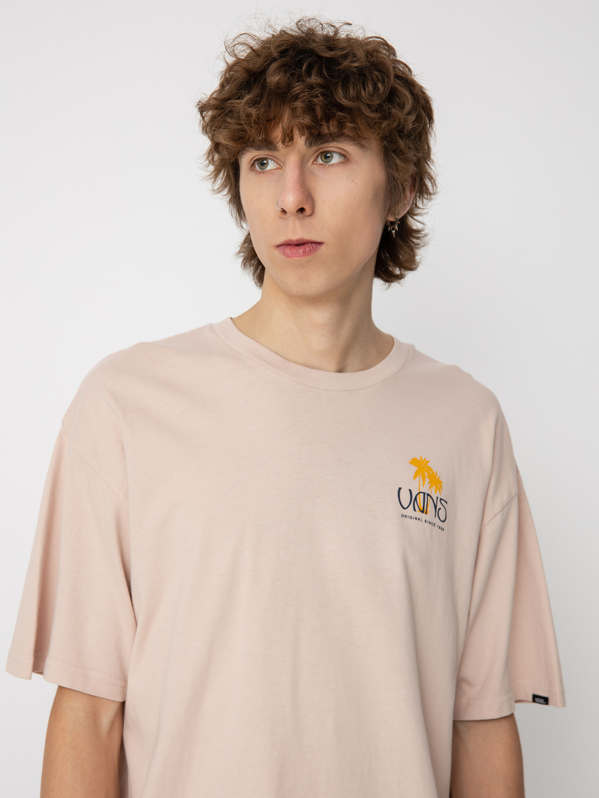 Vans Sunset Dual Palm Vintage T-shirt (rose smoke)