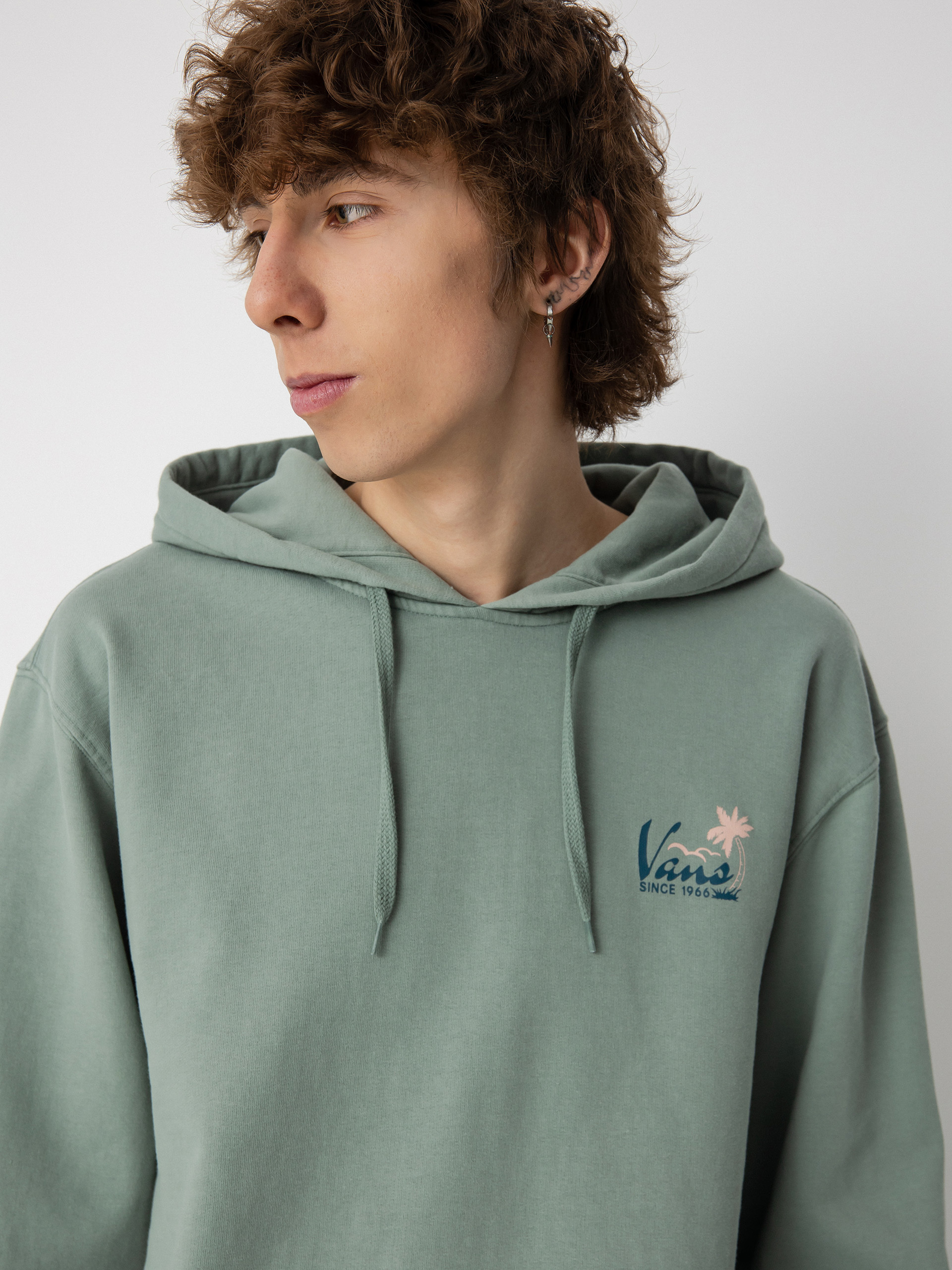 Vans Lodge HD Hoodie (chinois green)